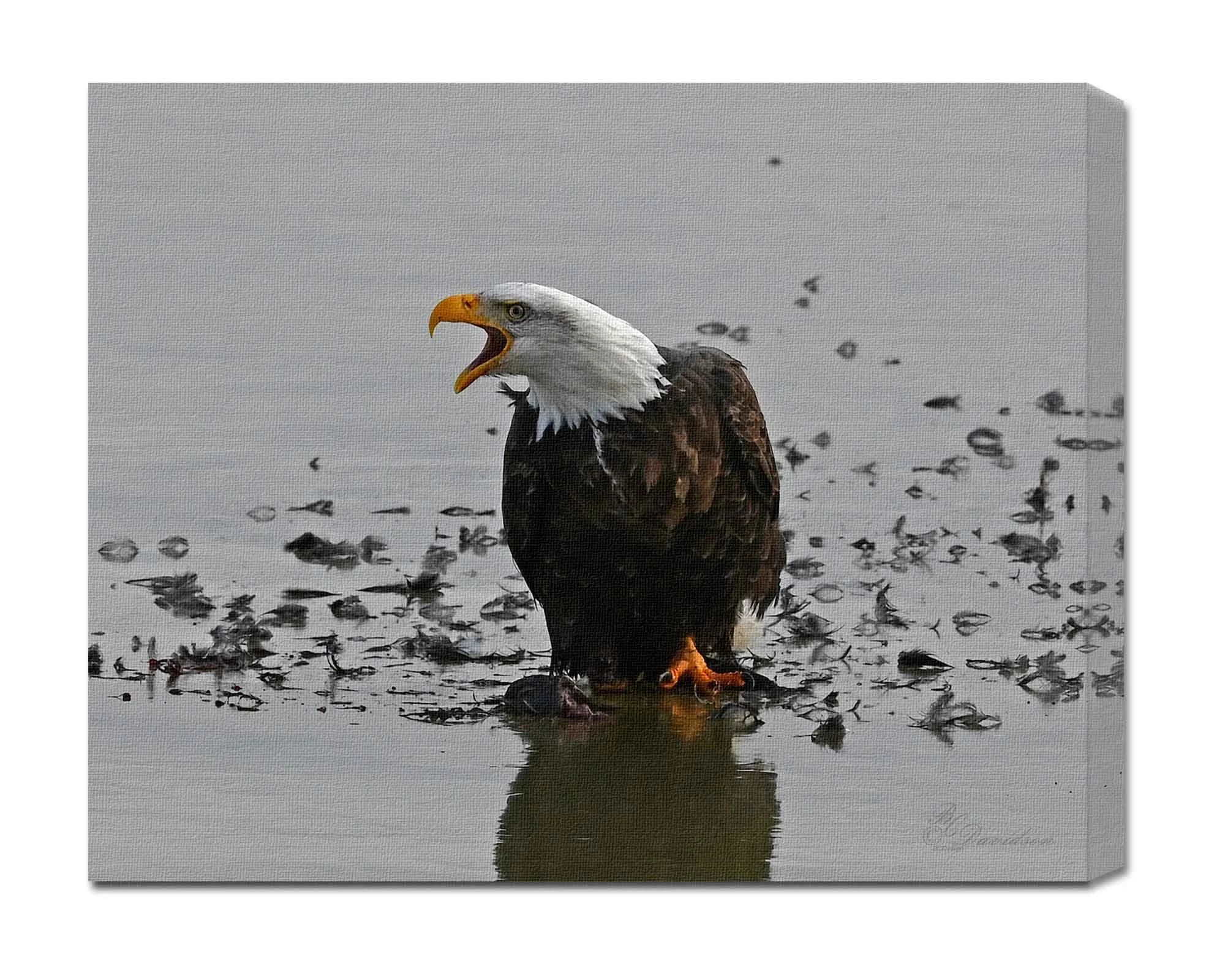 Eagle on Ice.jpg