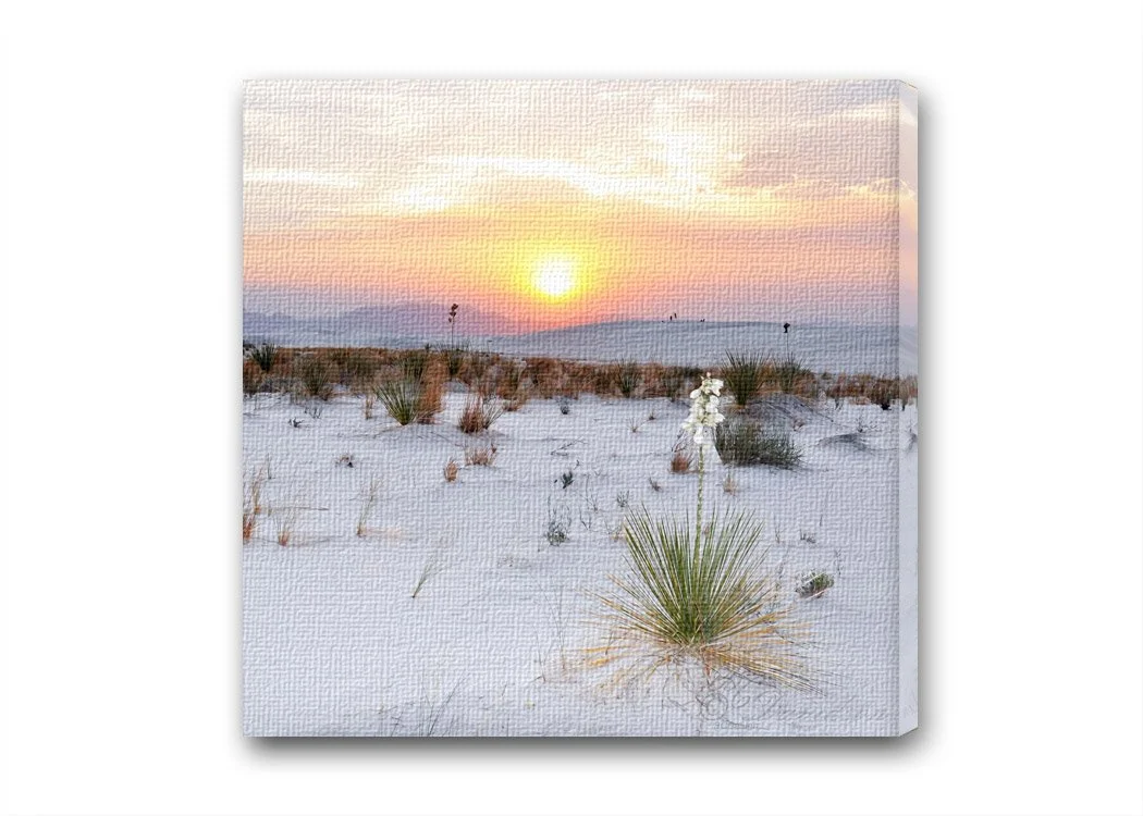 White Sands Veggie Sunset.jpg