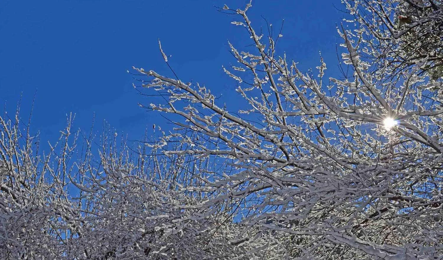 Winter storeDSC_5349r sm.jpg