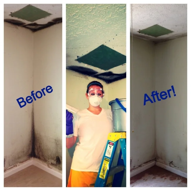 There was more scrubbing the next day... and then KILZ primer on top of that.