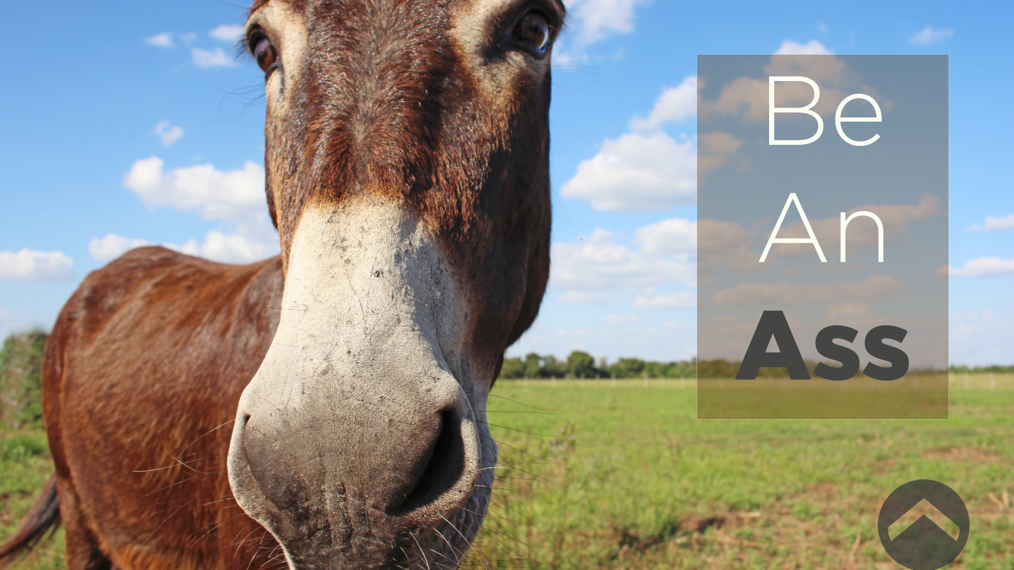 Be an Ass