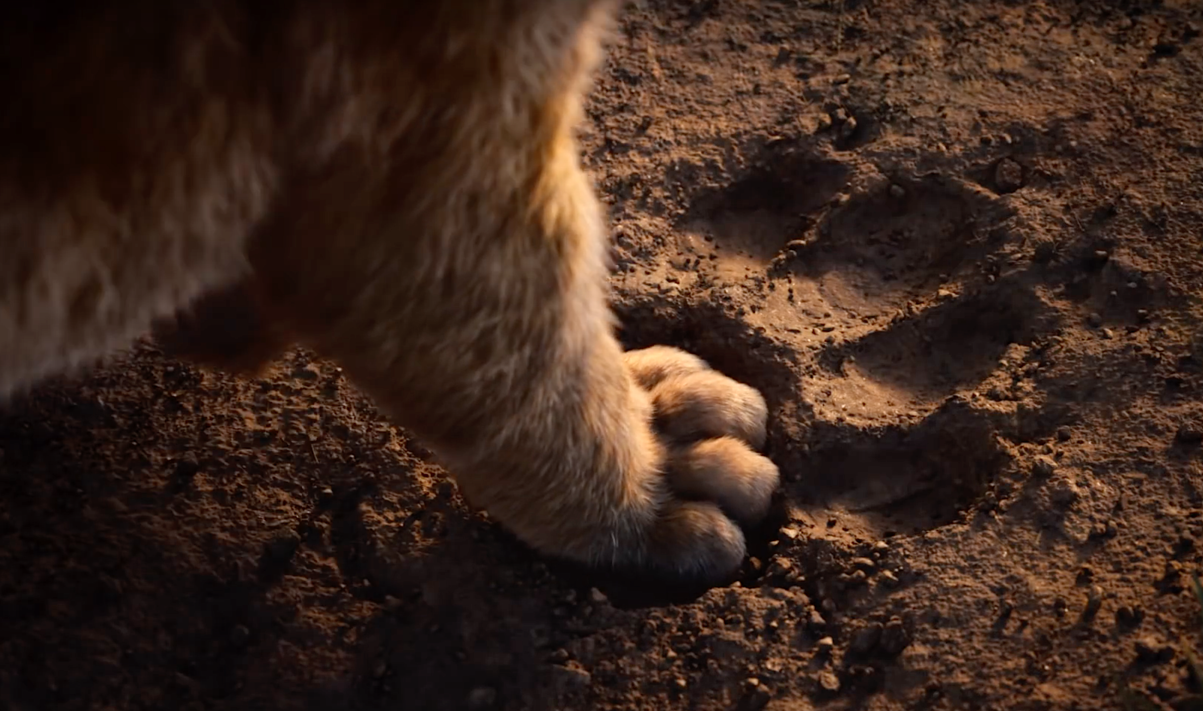 the_lion_king_remake_simba_paw_via_disney_youtube_2019.png
