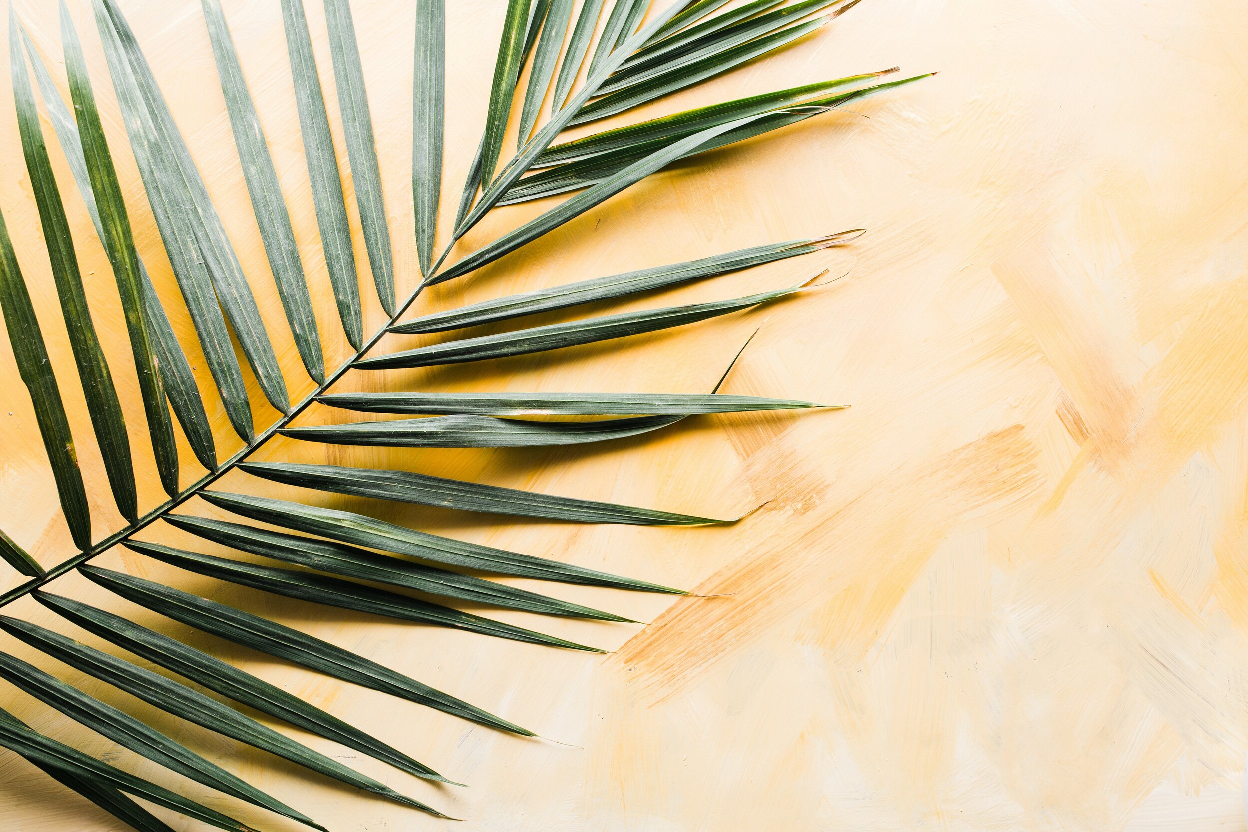 Palm Sunday - Reflection