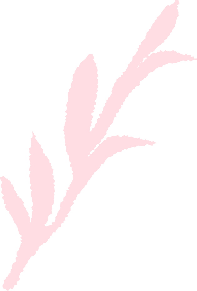Asset 611.png