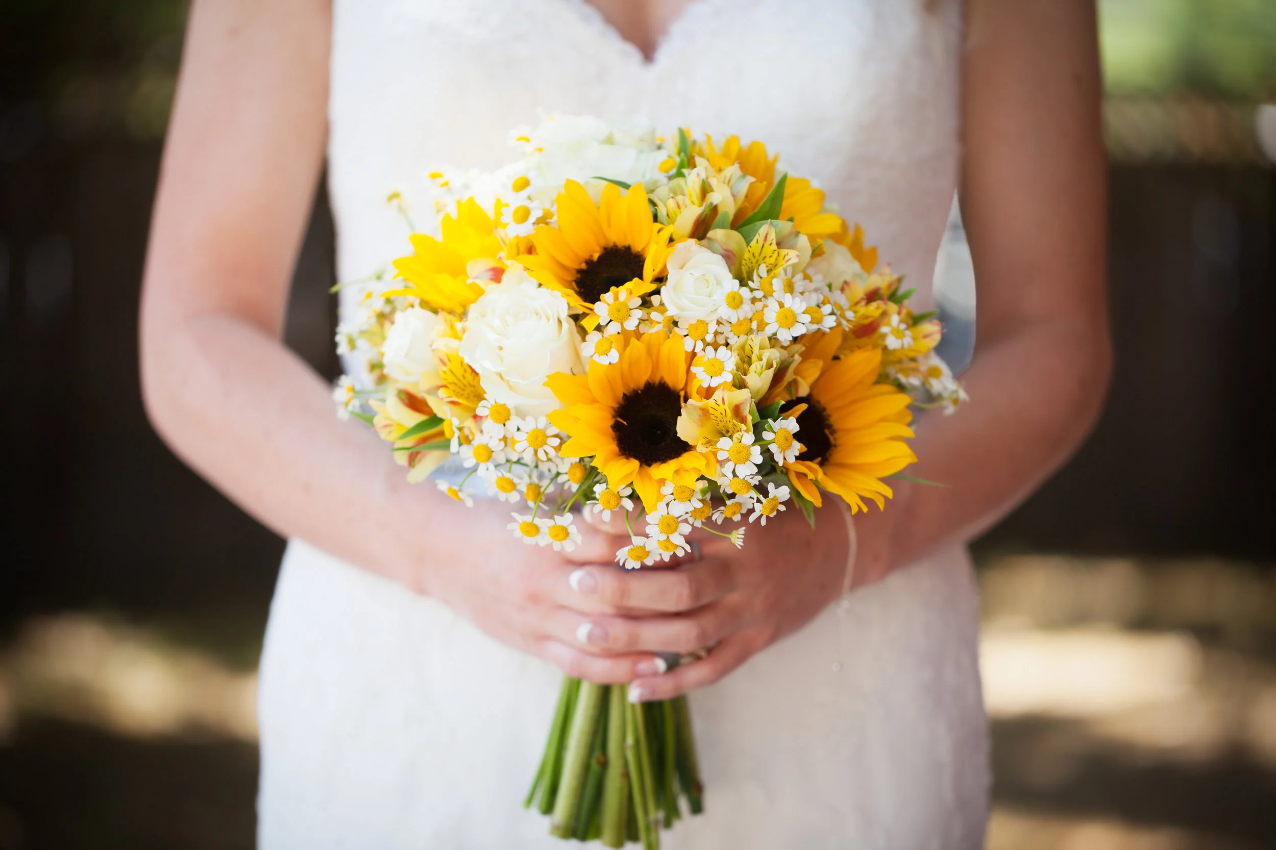 IMG_7724-Edit.jpg