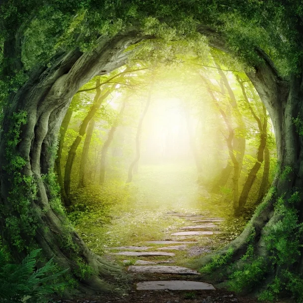 Seeking the Magic of One's Youth