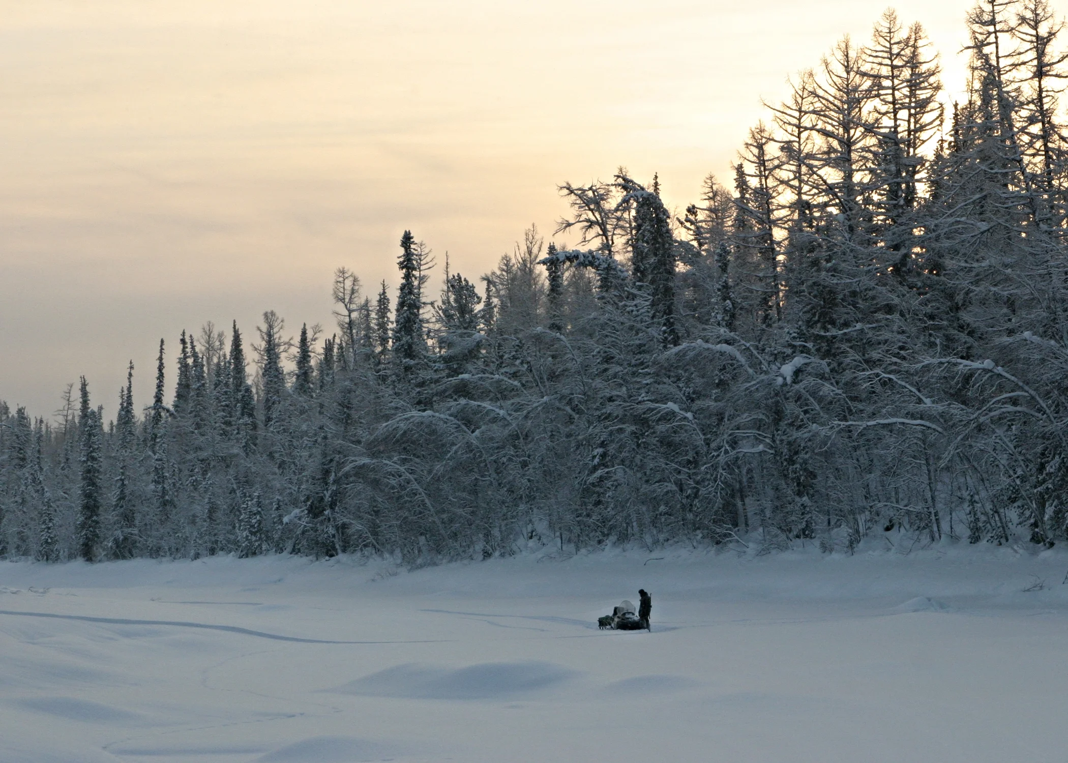 For Some Reason, I Find Myself Recommending A Documentary Again This Week