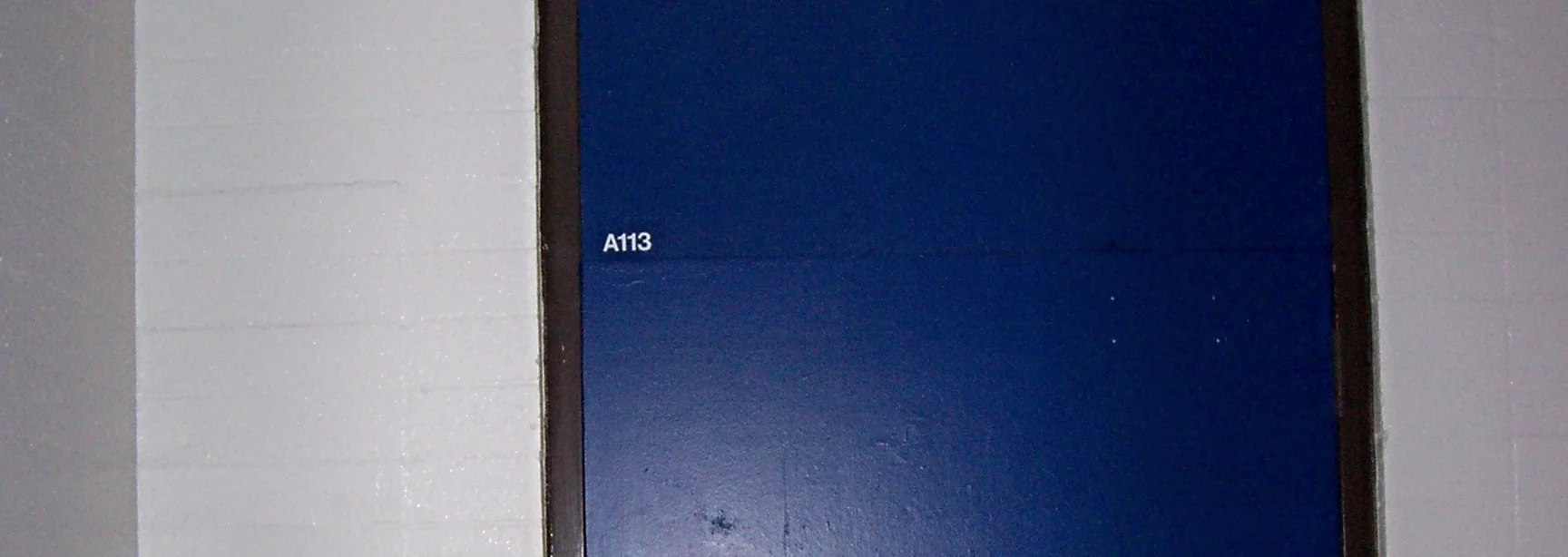 When Is A113 More Than Just A Number (And A Letter)?