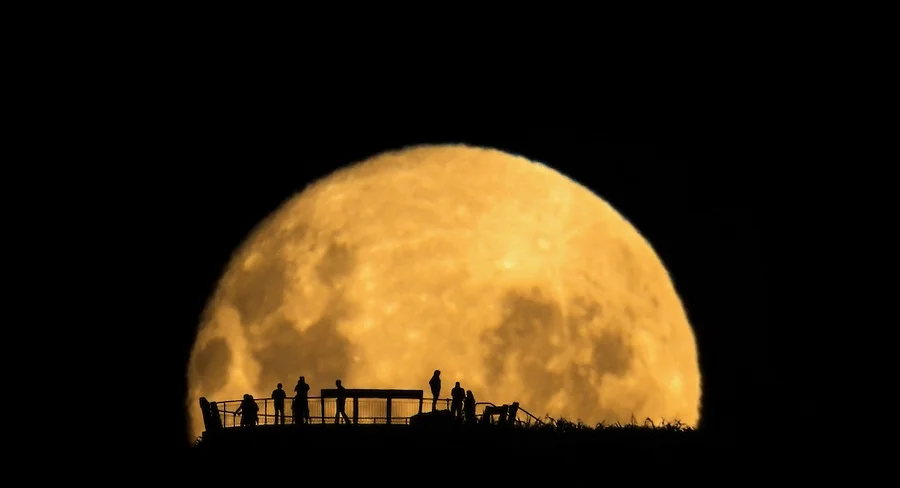 Well, THIS Is Stunning.