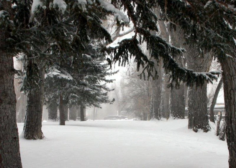 Largoing My Way Through Winter