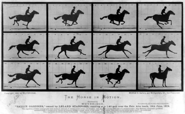 “Every Frame a Painting:” The Art of Cinematic Observation