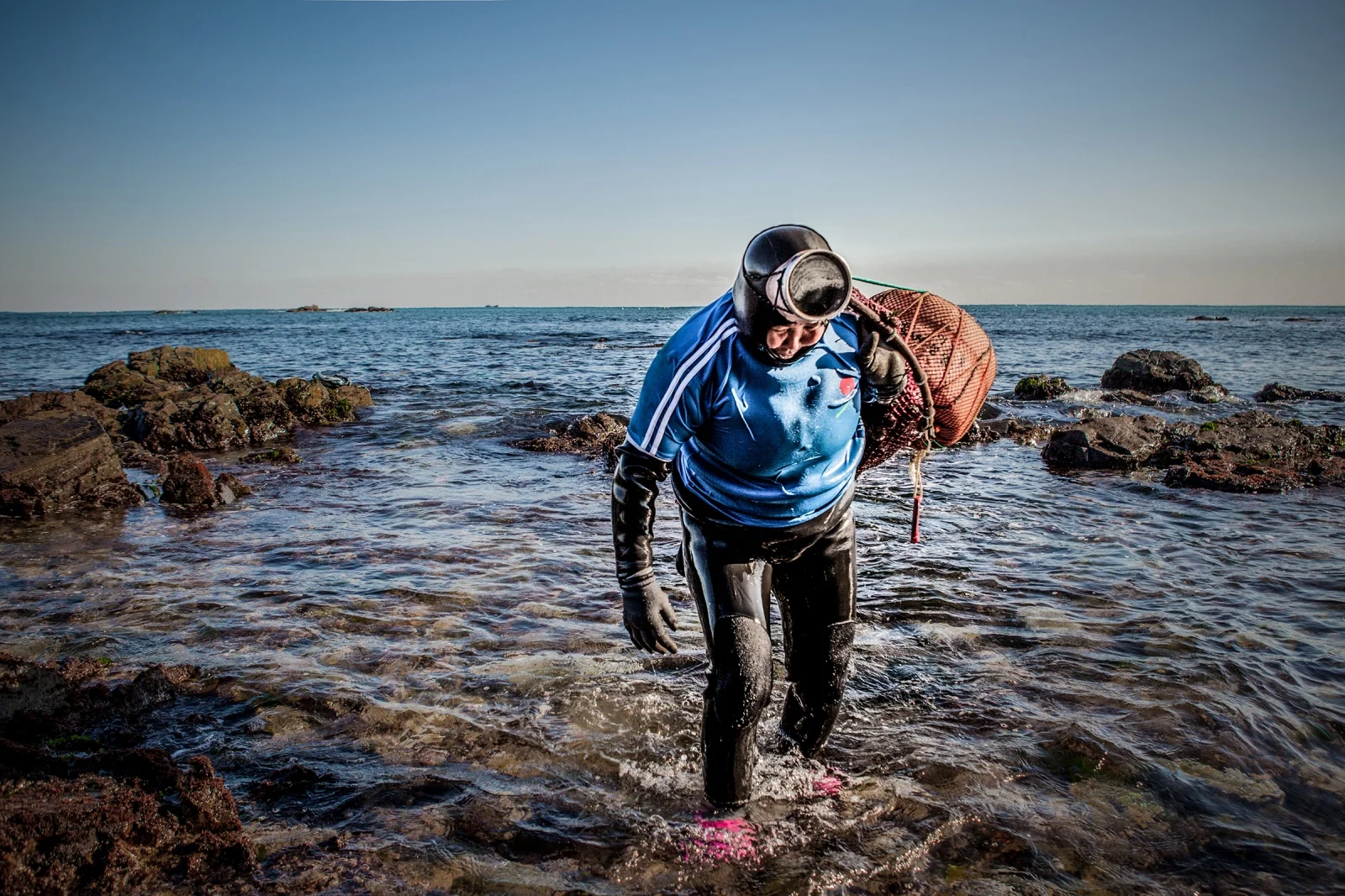 Mermaids Are Real (And Their Reality Is Almost Better Than Our Imaginings)