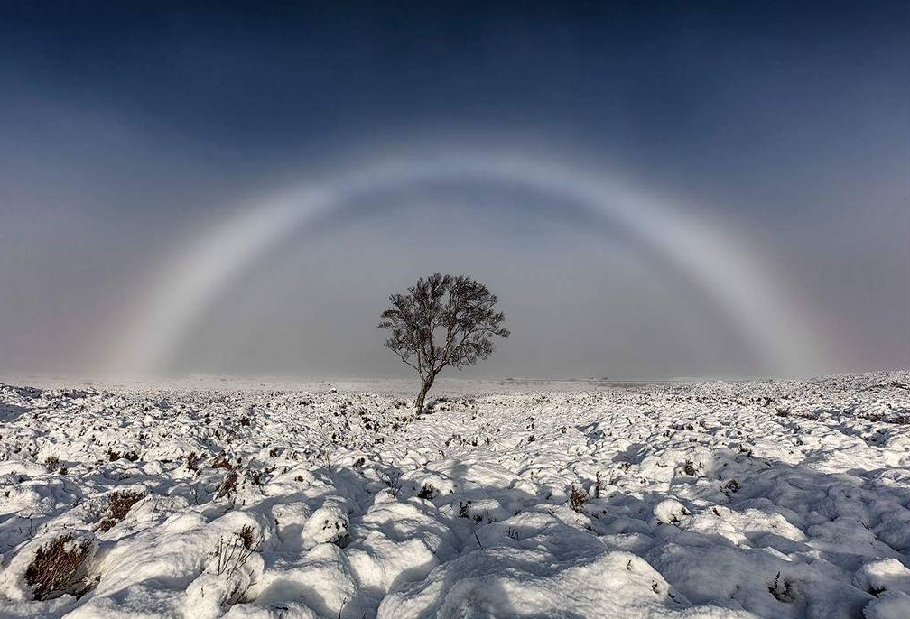 Don't Be Fooled By The Term "White Rainbow." It's Neither "Bland" Nor "Boring"