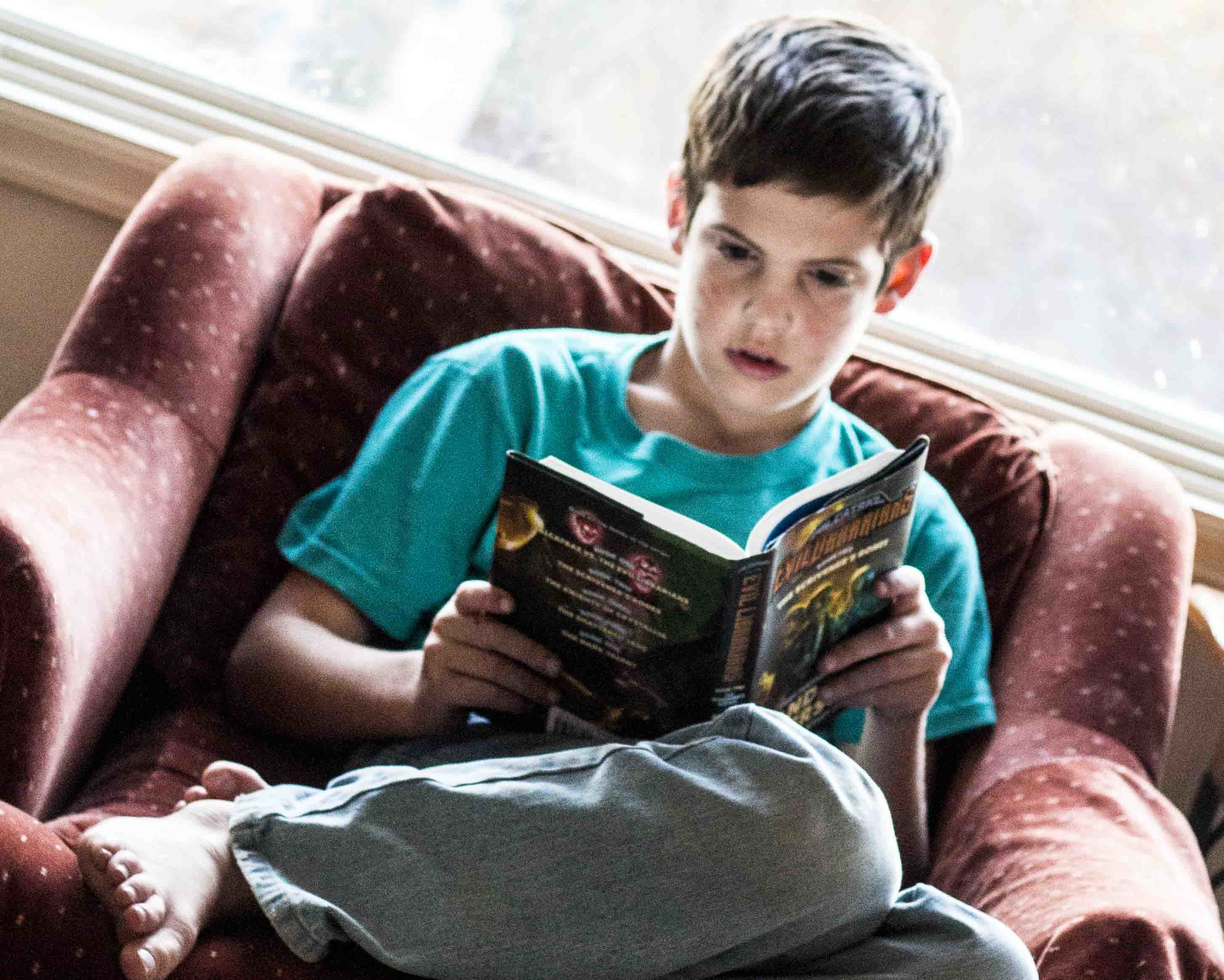 Voracious Reading FTW