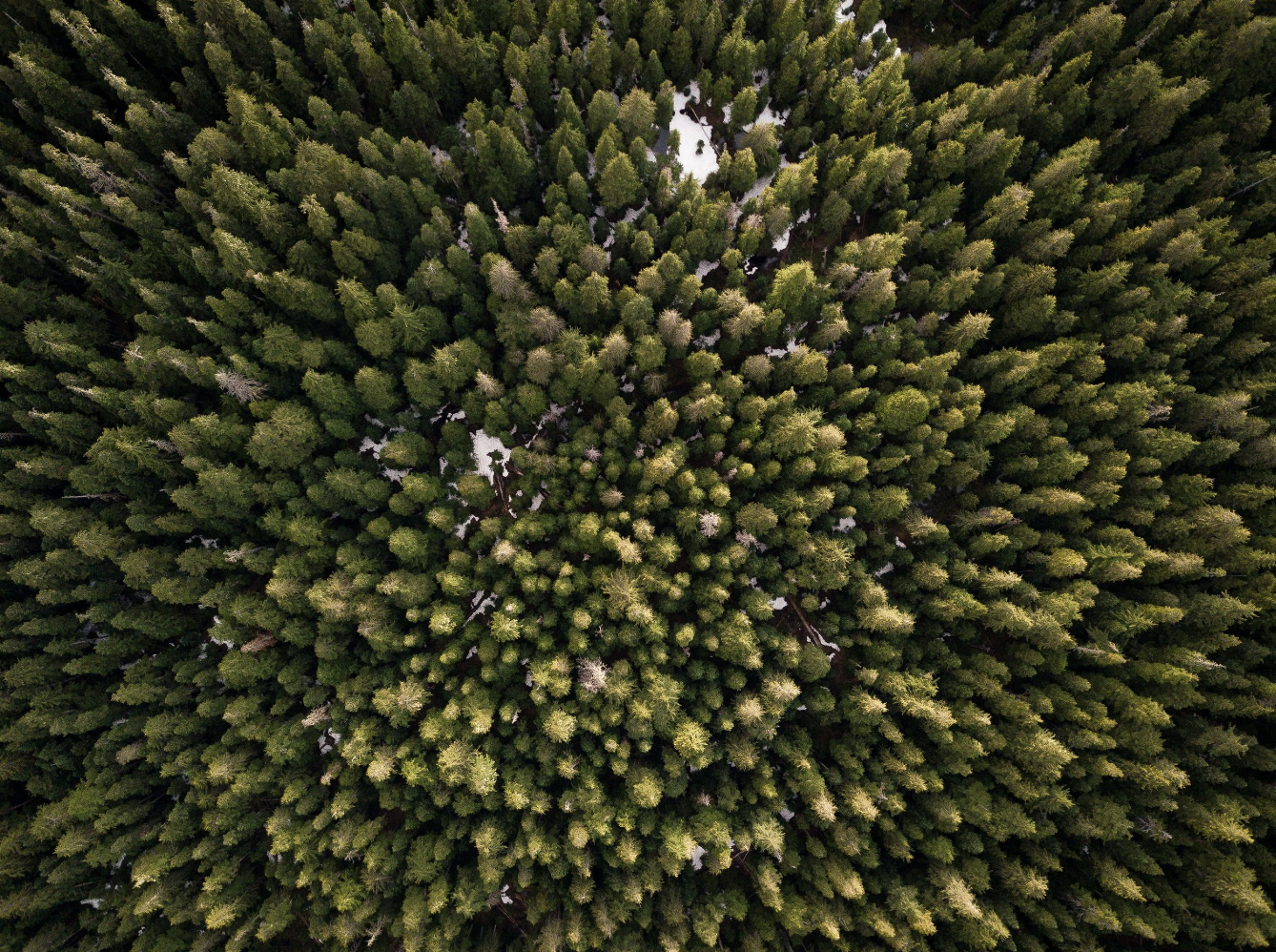 Screenshot 2018-08-22 18.36.08.png