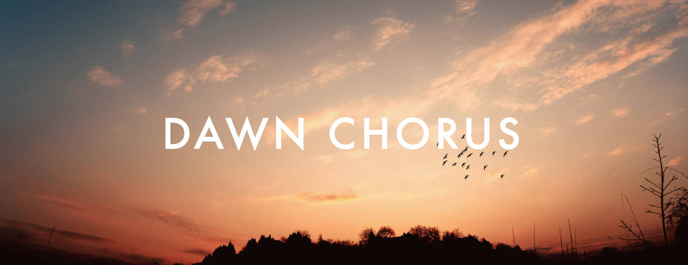Dawn Chorus