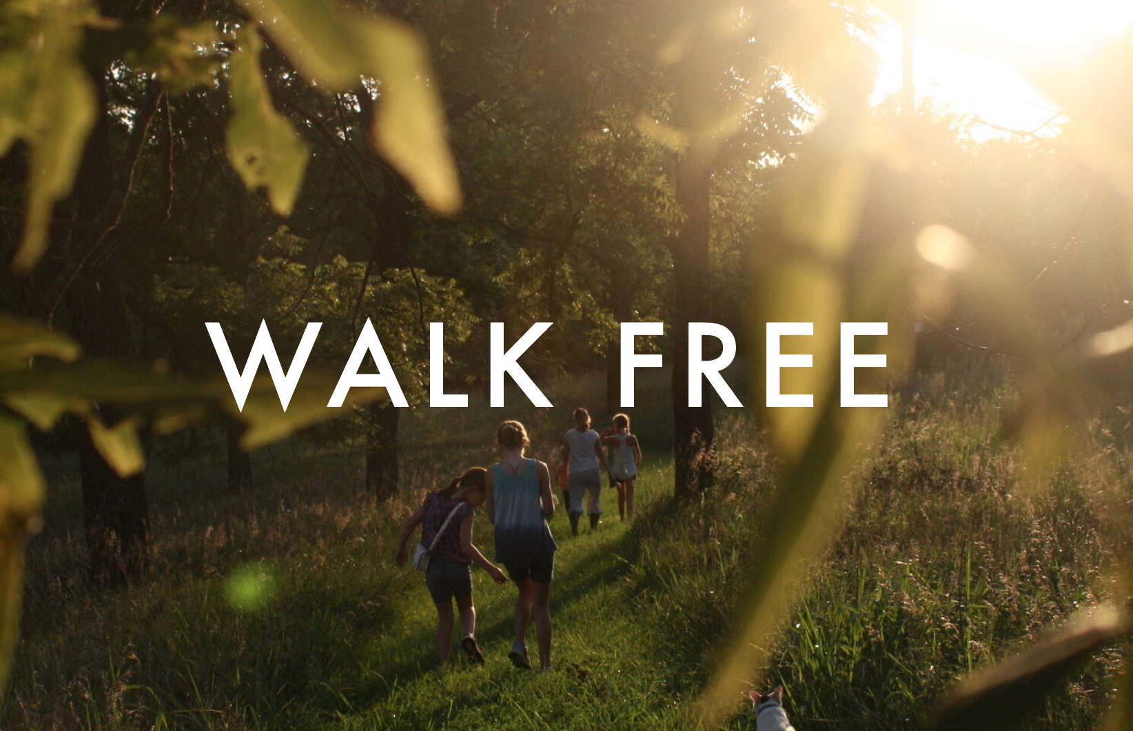 Walk Free