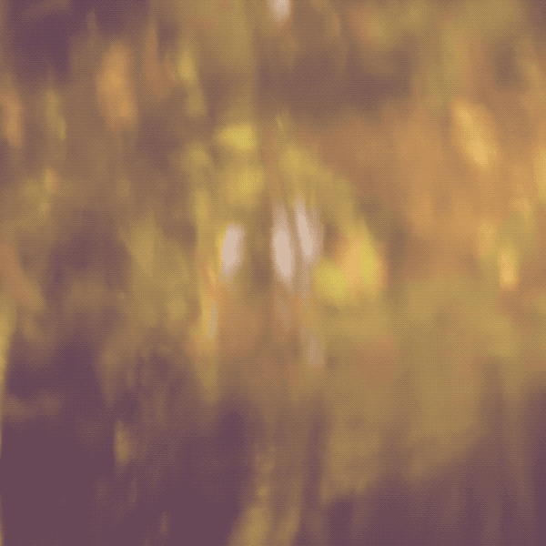 Comp 1.2020-09-19 17_59_48.gif