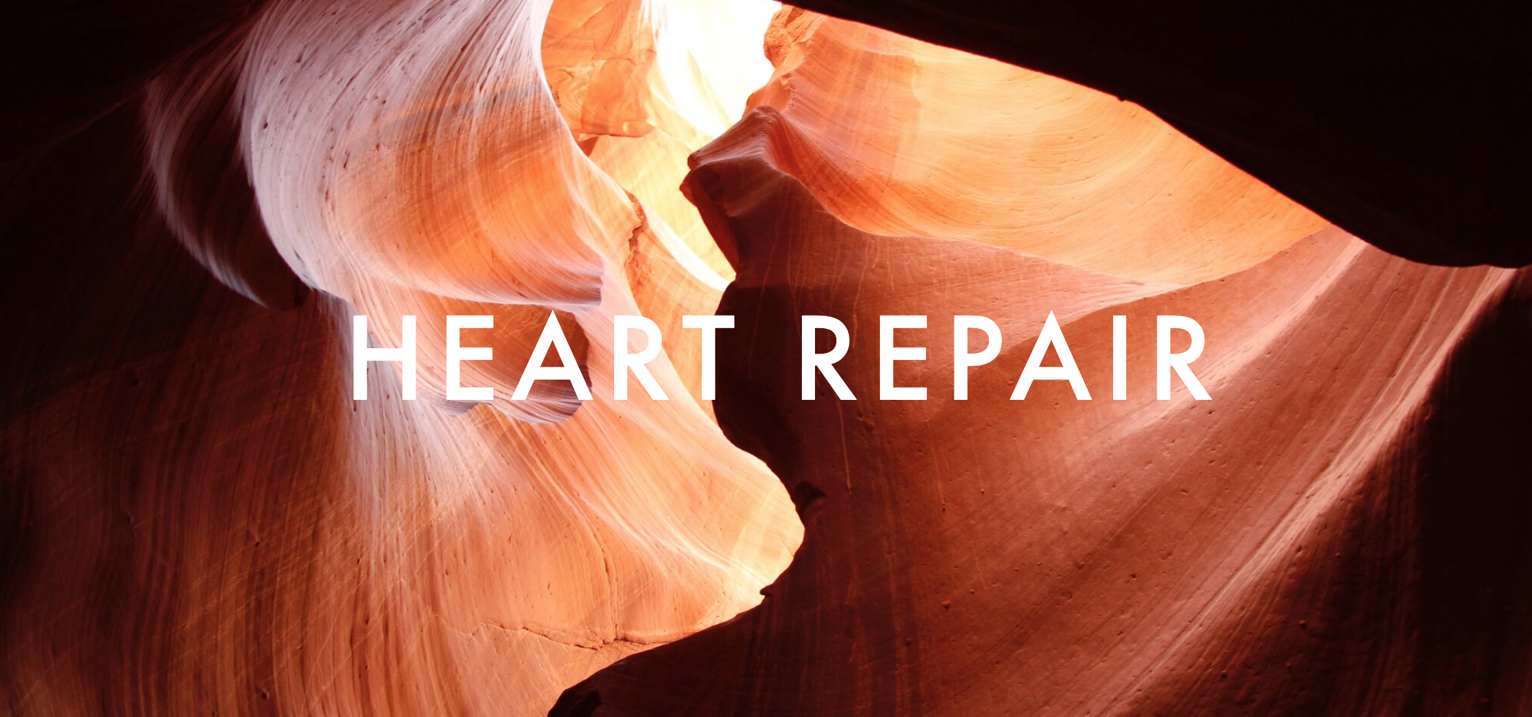 Heart Repair