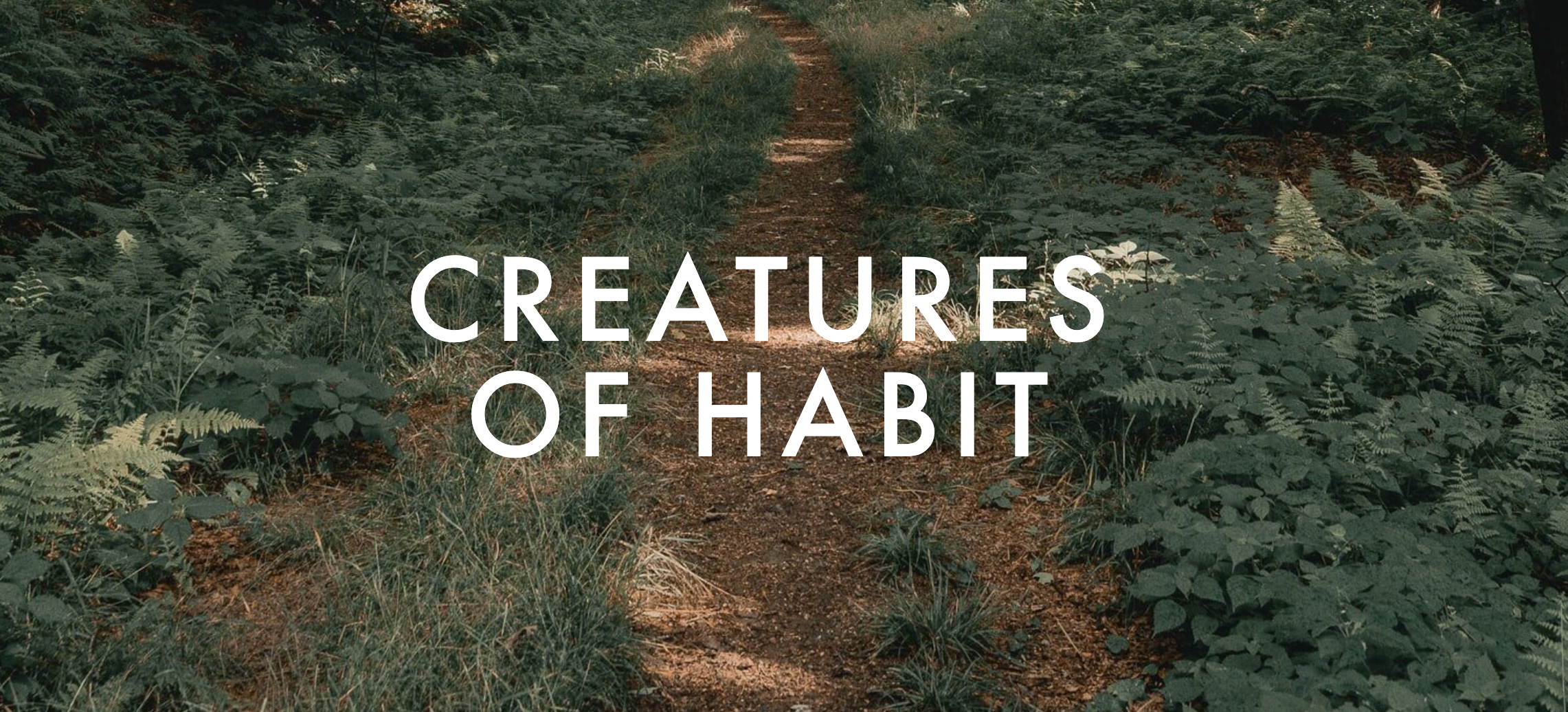 Creatures of Habit
