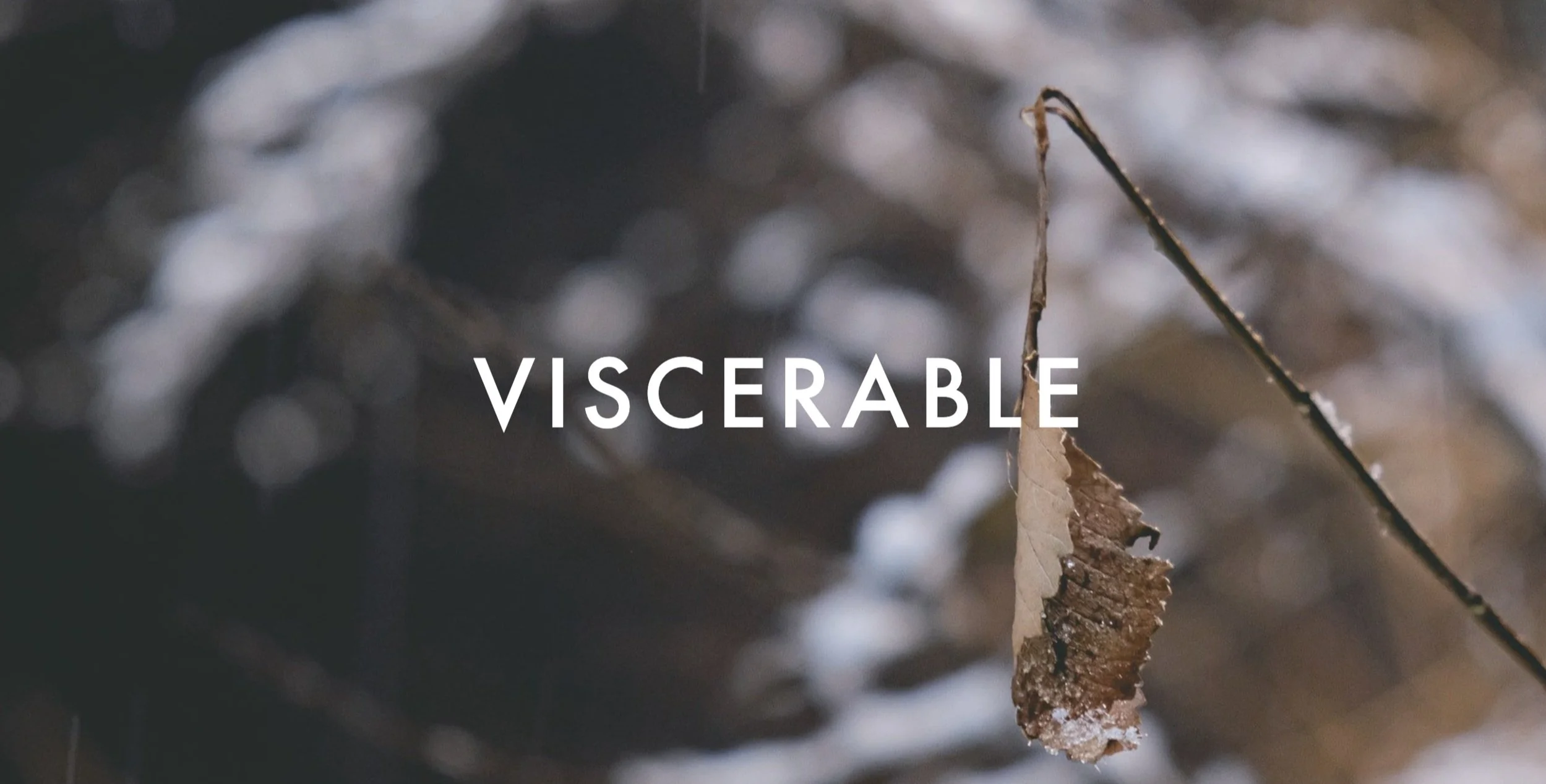 Viscerable