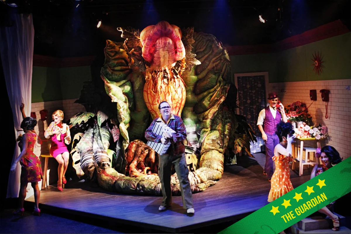 "[B]lack comedy triumph thrusts cult classic into contemporary Australia."