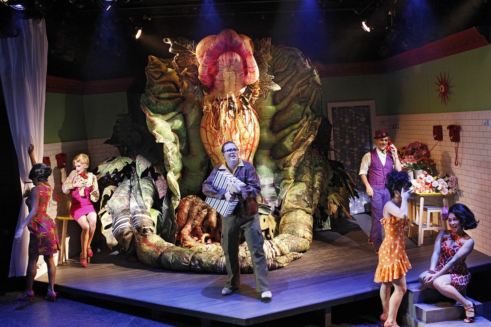 LITTLE SHOP OF HORRORS photo Jeff Busby_1486.jpg