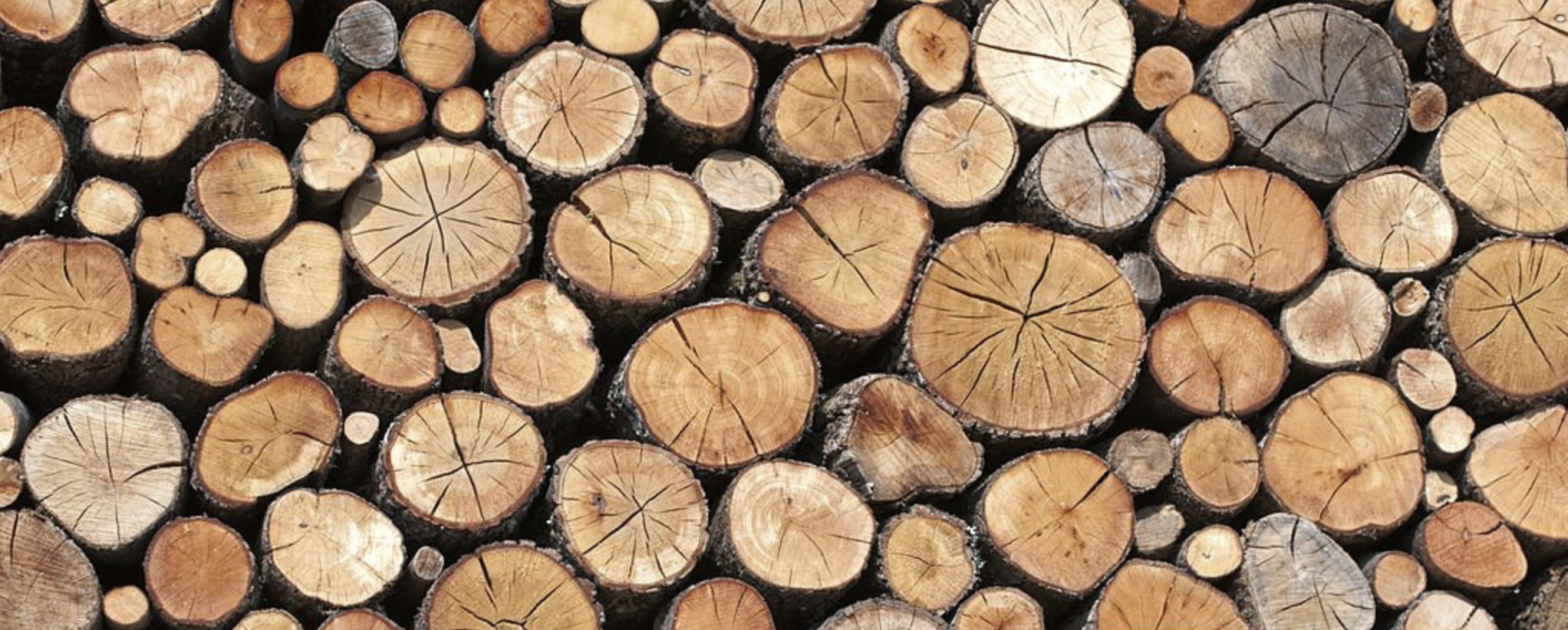 Screenshot 2026-01-05 at 7.40.58 PM.png