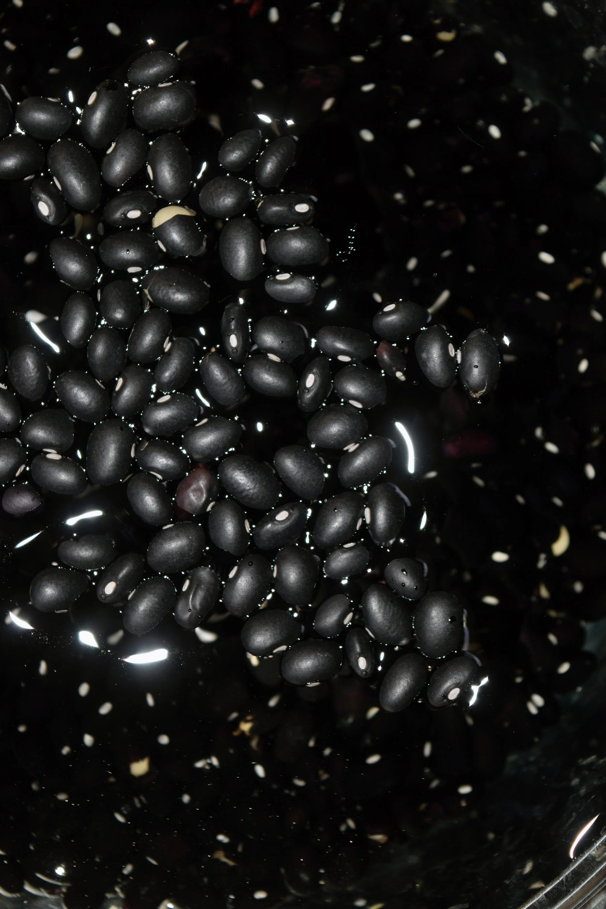 TRIPTYCH (ON THE COURT OF THE INFINITE) ii.jpg