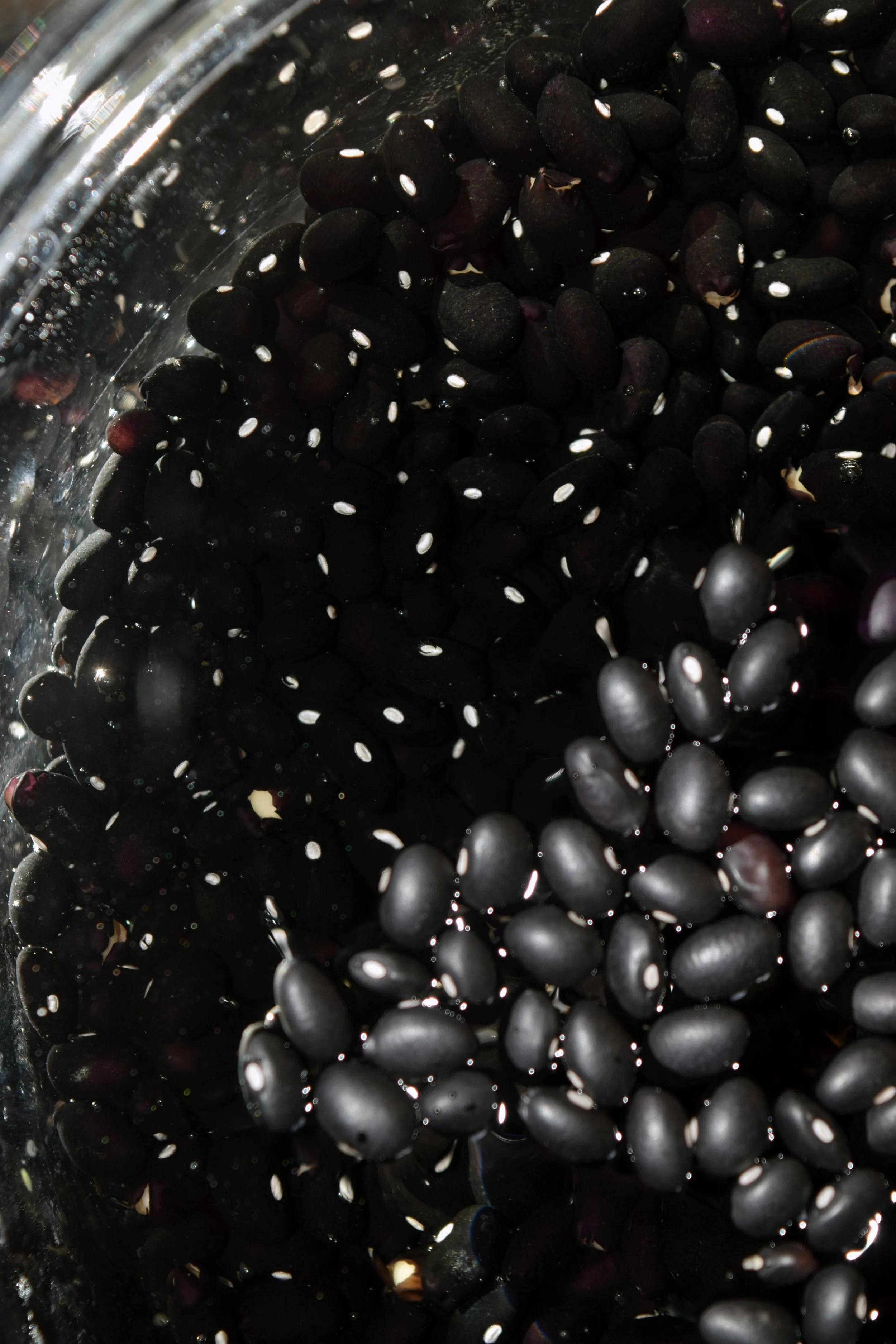 TRIPTYCH (ON THE COURT OF THE INFINITE) i.jpg