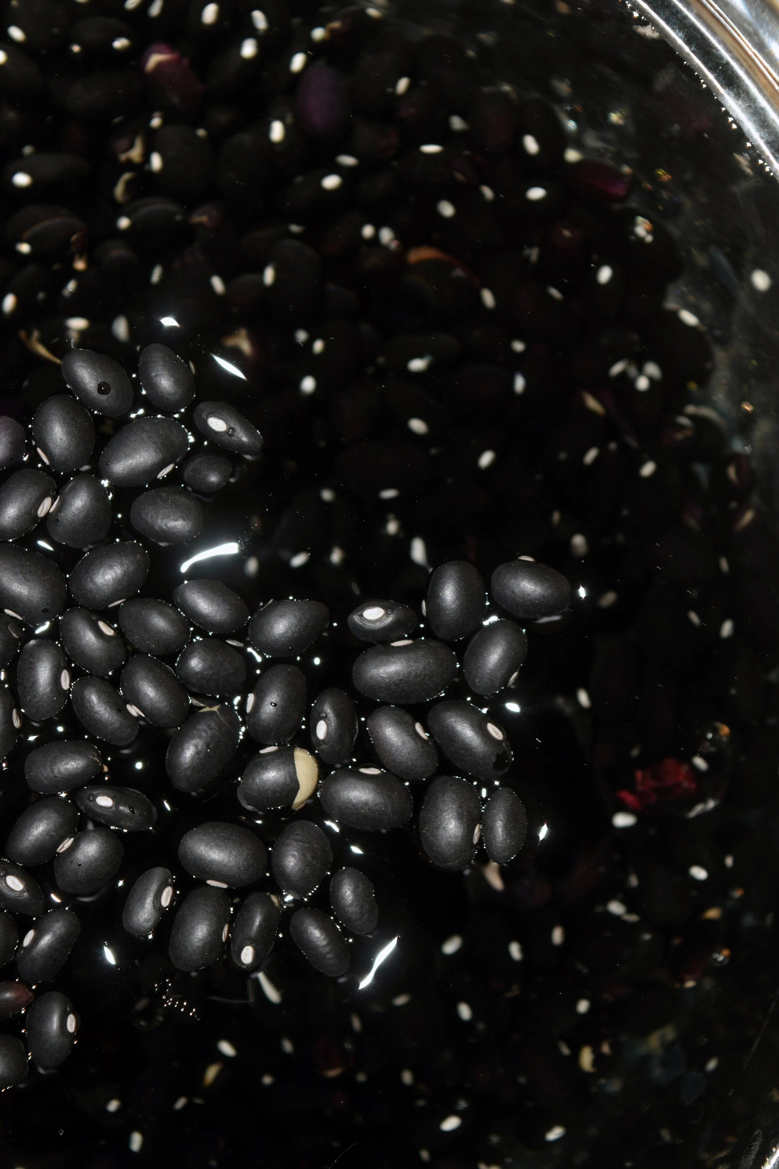 TRIPTYCH (ON THE COURT OF THE INFINITE) iii.jpg