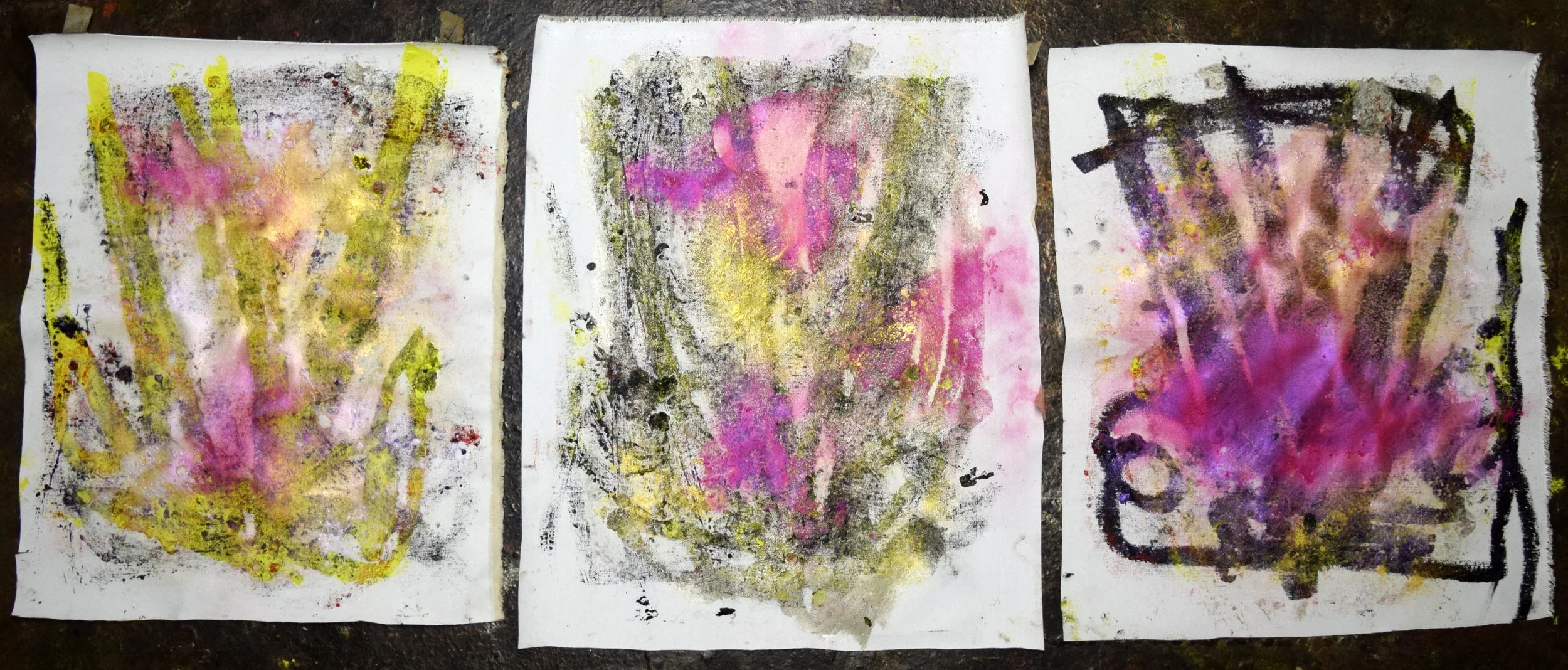 Triptych (Dark Corals) (Bonanza) 2, 2025. Oil and powdered pigment on canvas, 26 X 65 inches