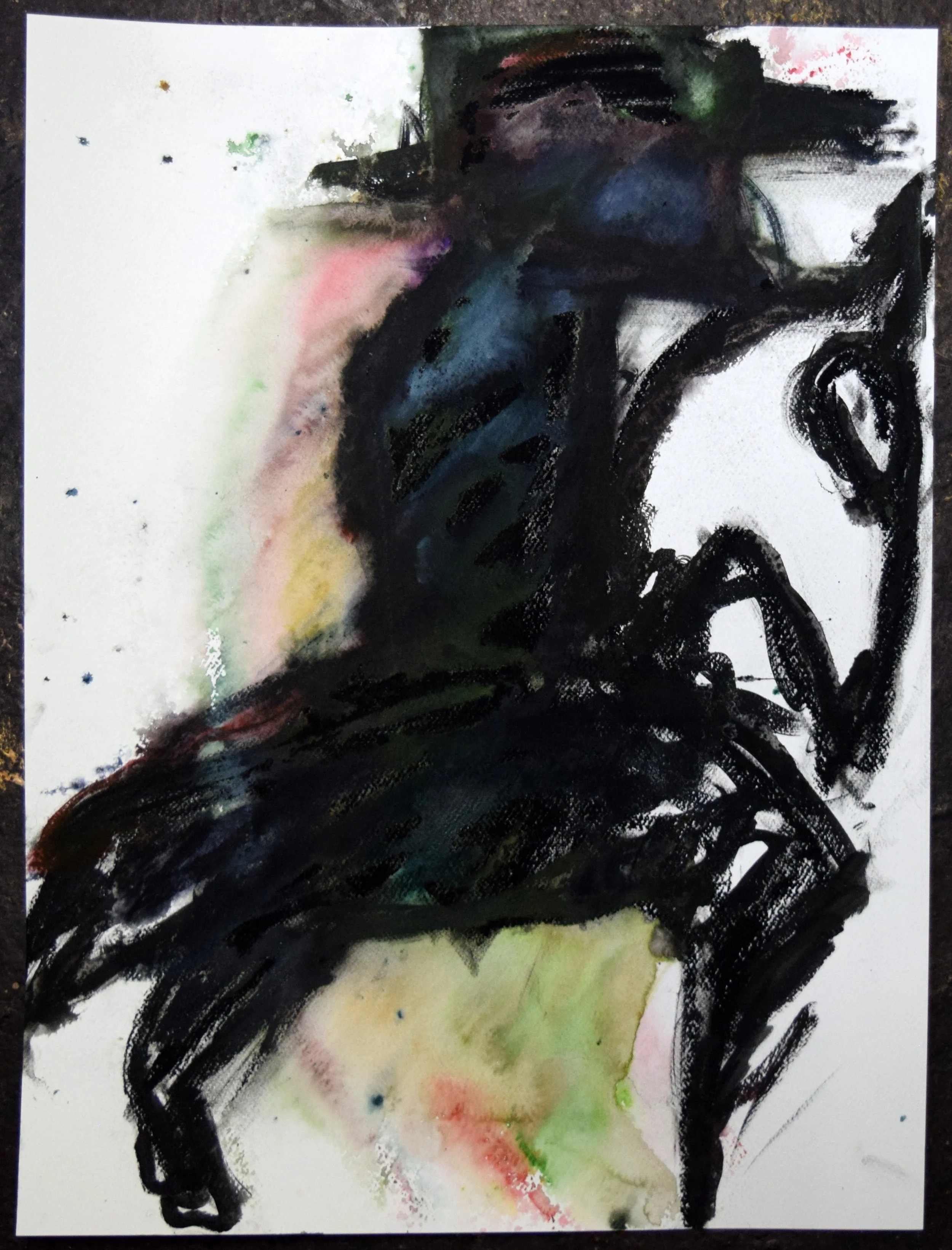 Caballero (Beau) 1. Watercolor and pastel on paper, 24 X 18 inches