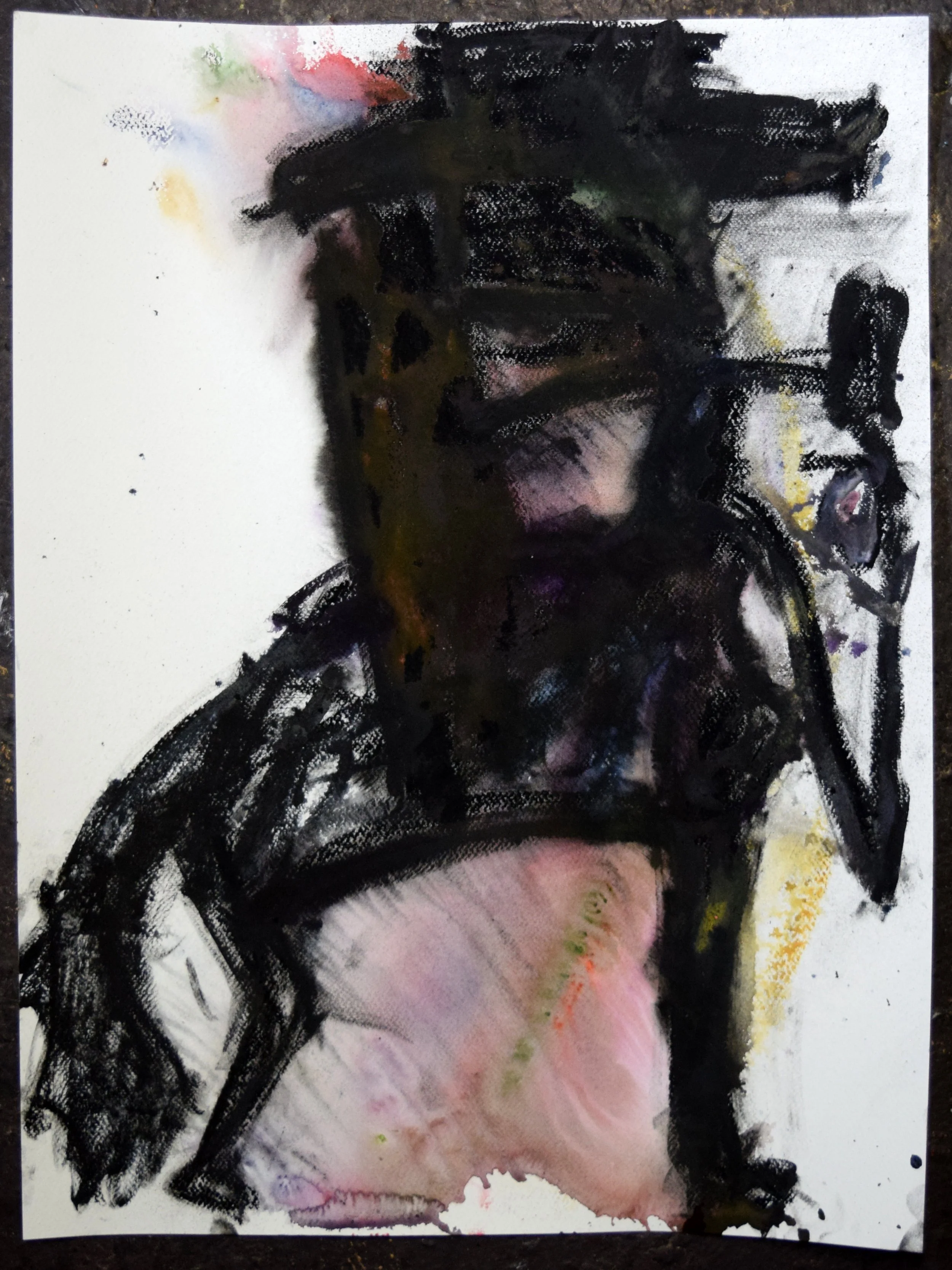 Caballero (Beau) 2. Watercolor and pastel on paper, 24 X 18 inches