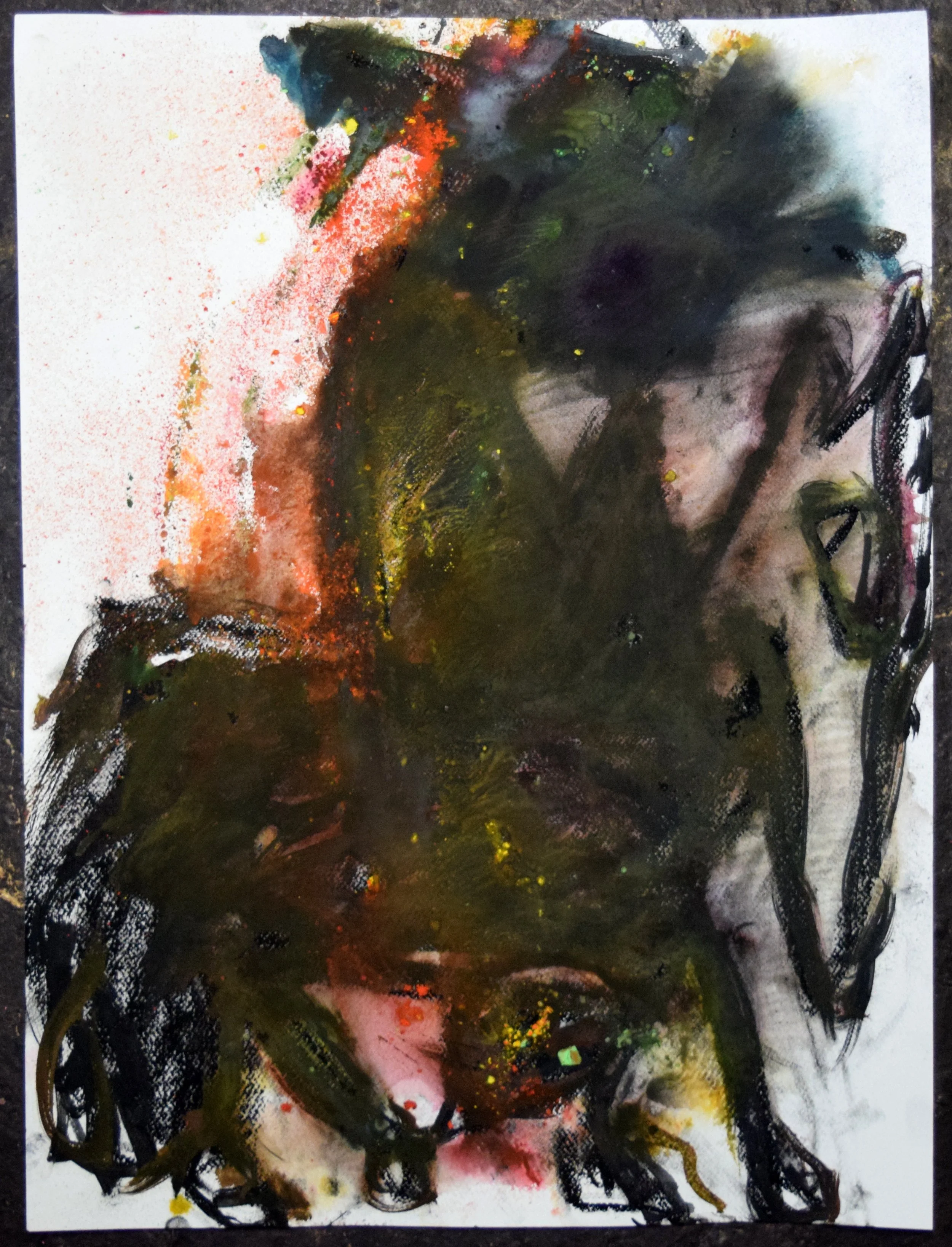 Caballero (Beau) 3. Watercolor and pastel on paper, 24 X 18 inches