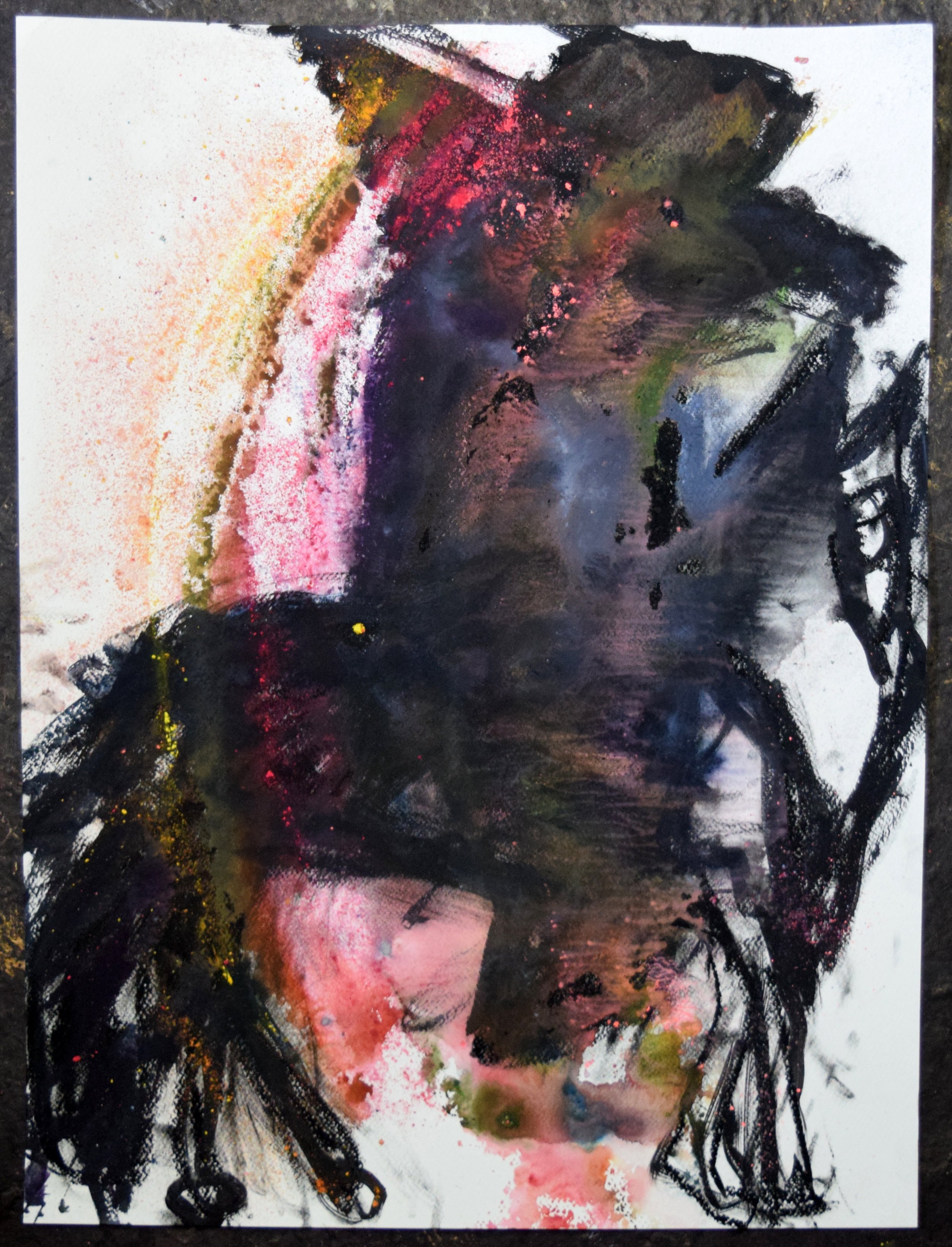 Caballero (Beau) 4. Watercolor and pastel on paper, 24 X 18 inches