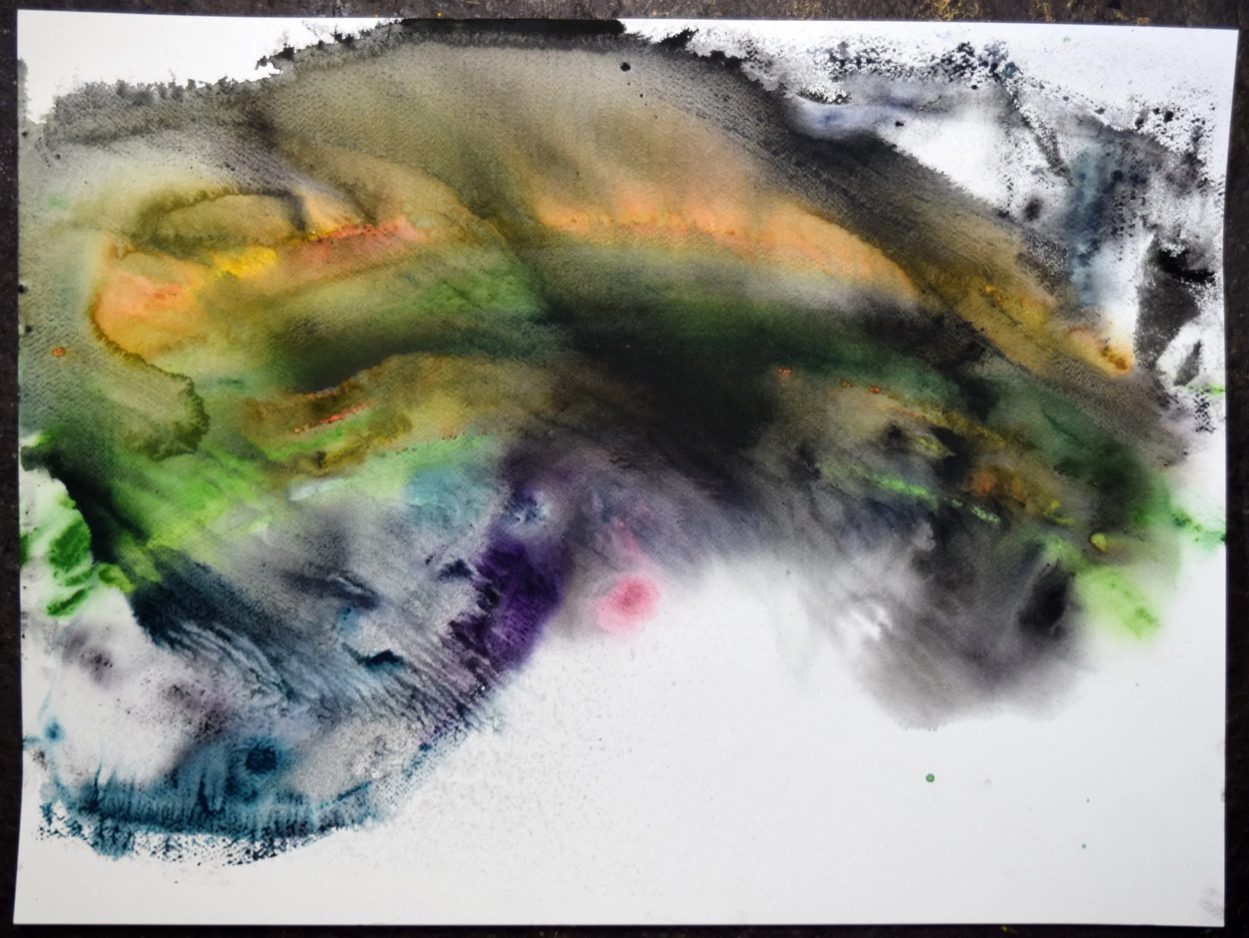 Beau (Caballero) 6. Watercolor and pastel on paper, 18 X 24 inches