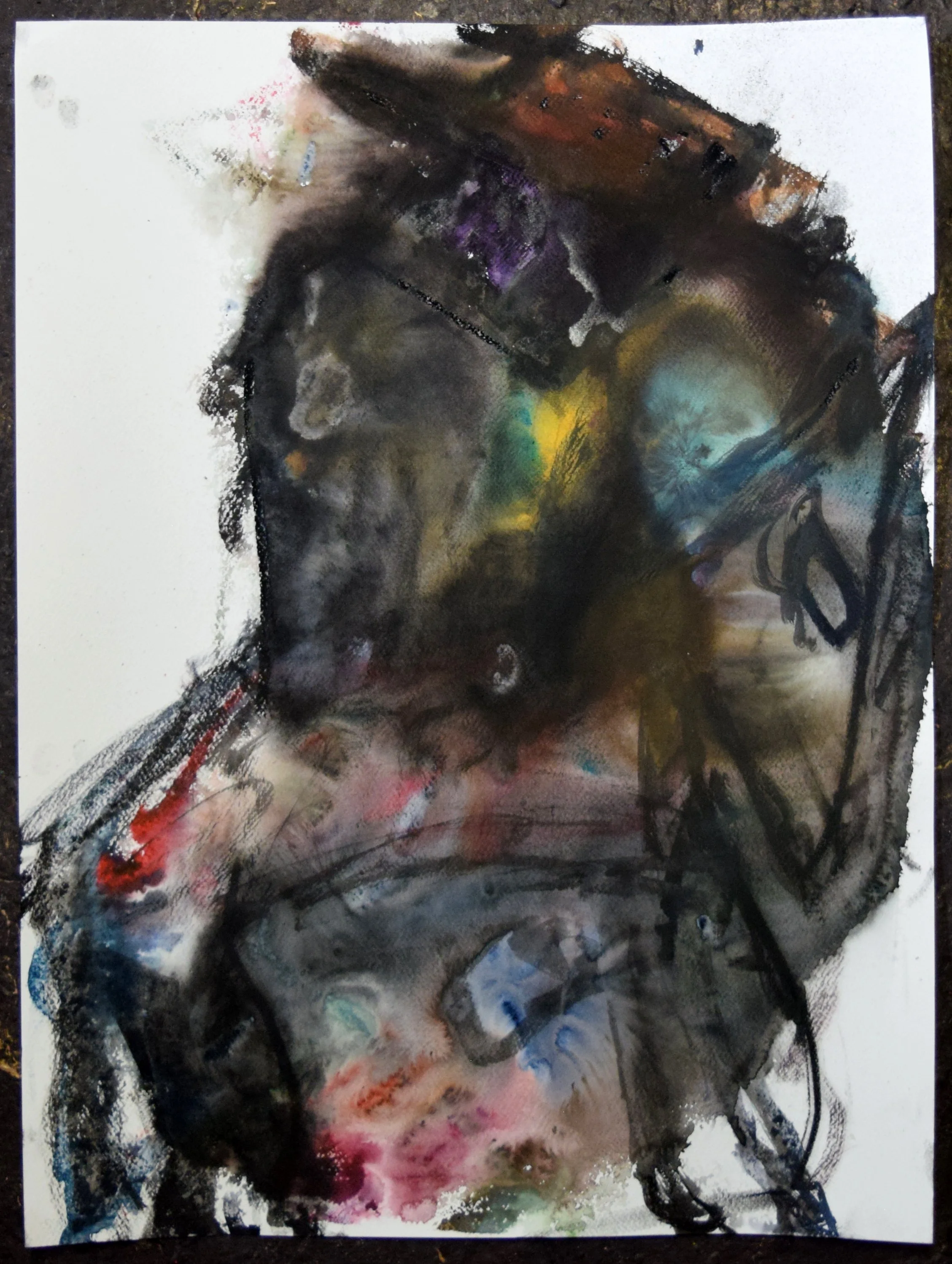 Robert Fernandez, Caballero (Beau) 5, 2026. Watercolor and pastel on paper, 24 X 18 inches.jpg