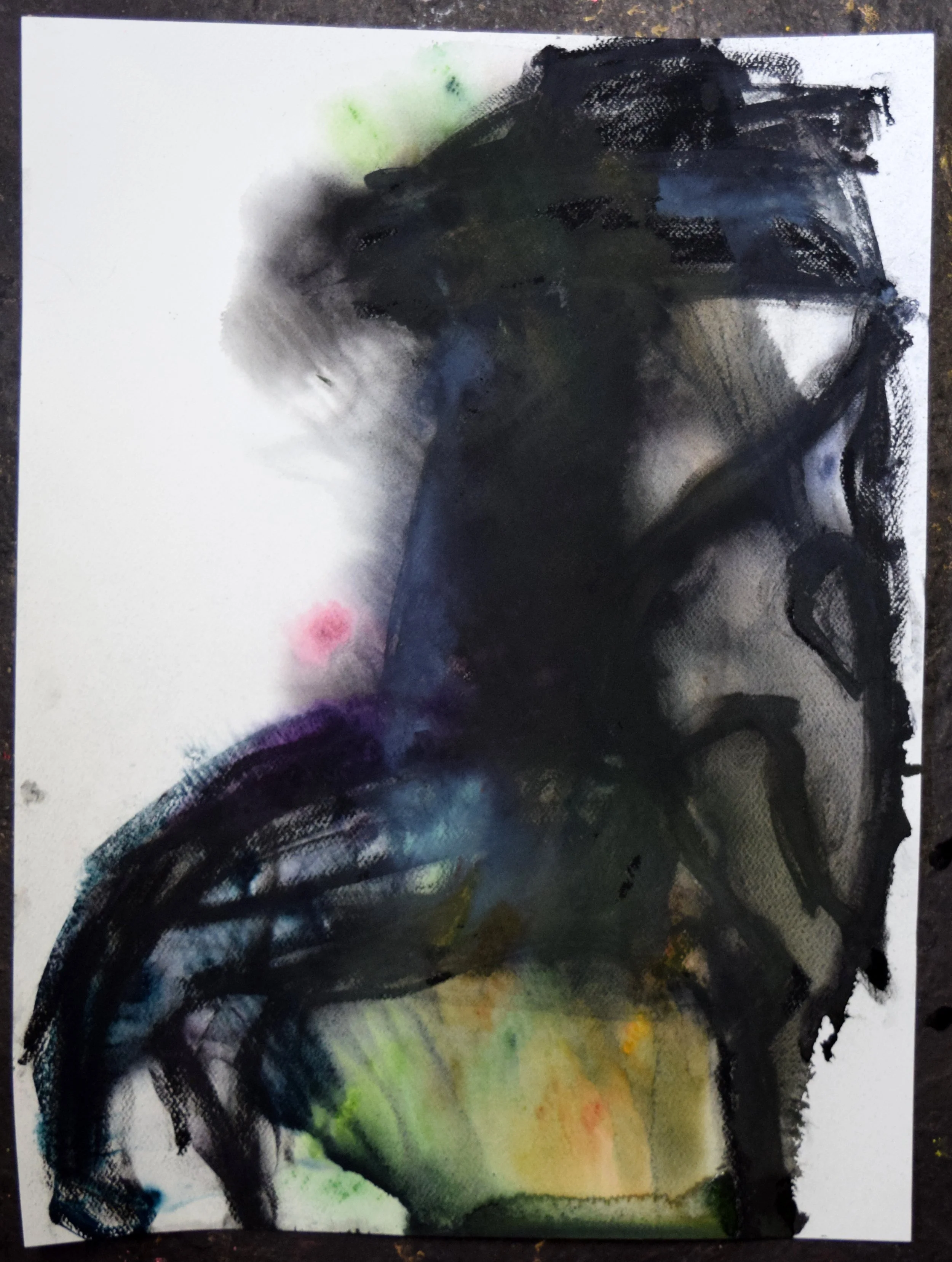 Robert Fernandez, Caballero (Beau) 6, 2026. Watercolor and pastel on paper, 24 X 18 inches.jpg