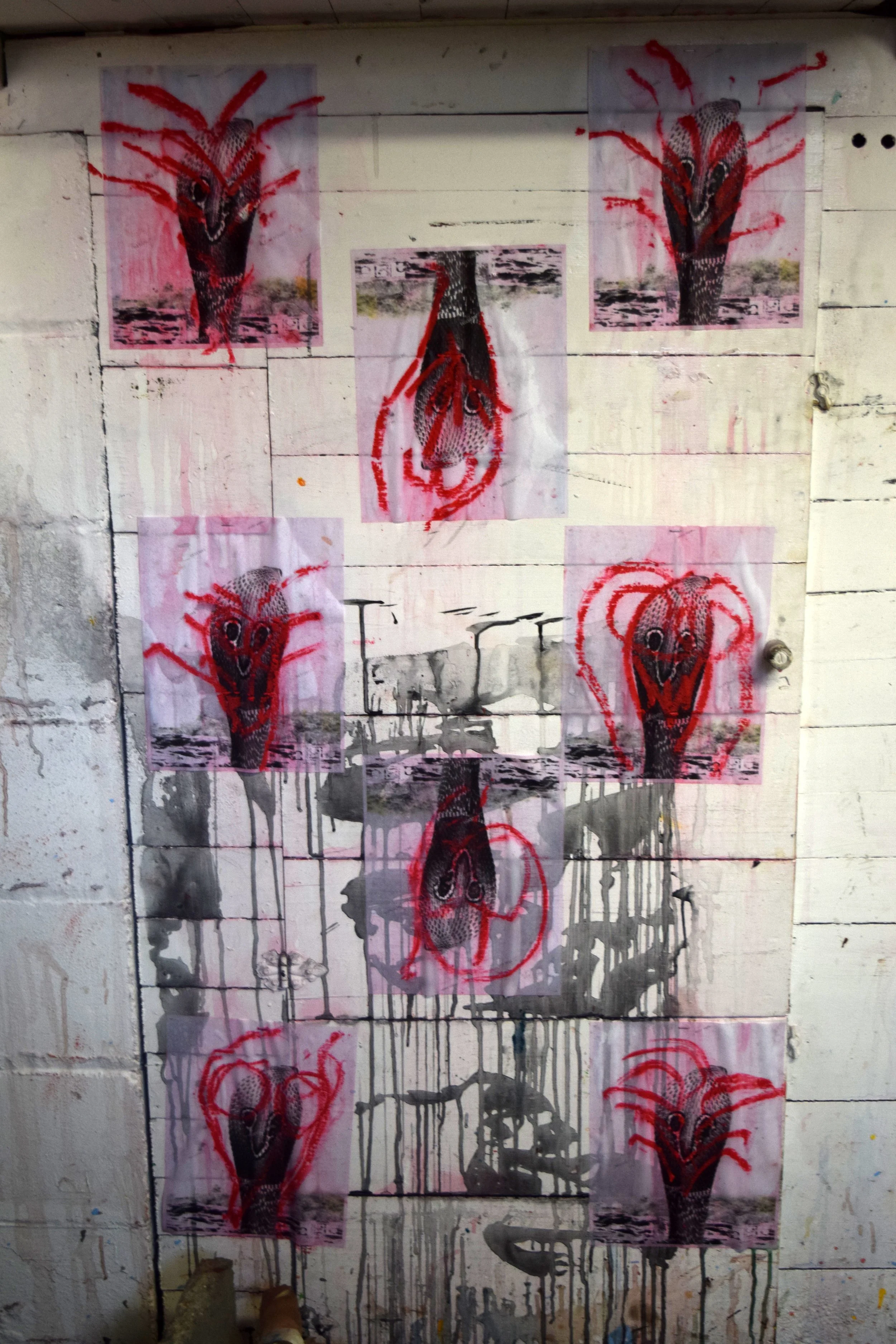 RED GILLS (CULEBRAS) III [~28X52in].jpg