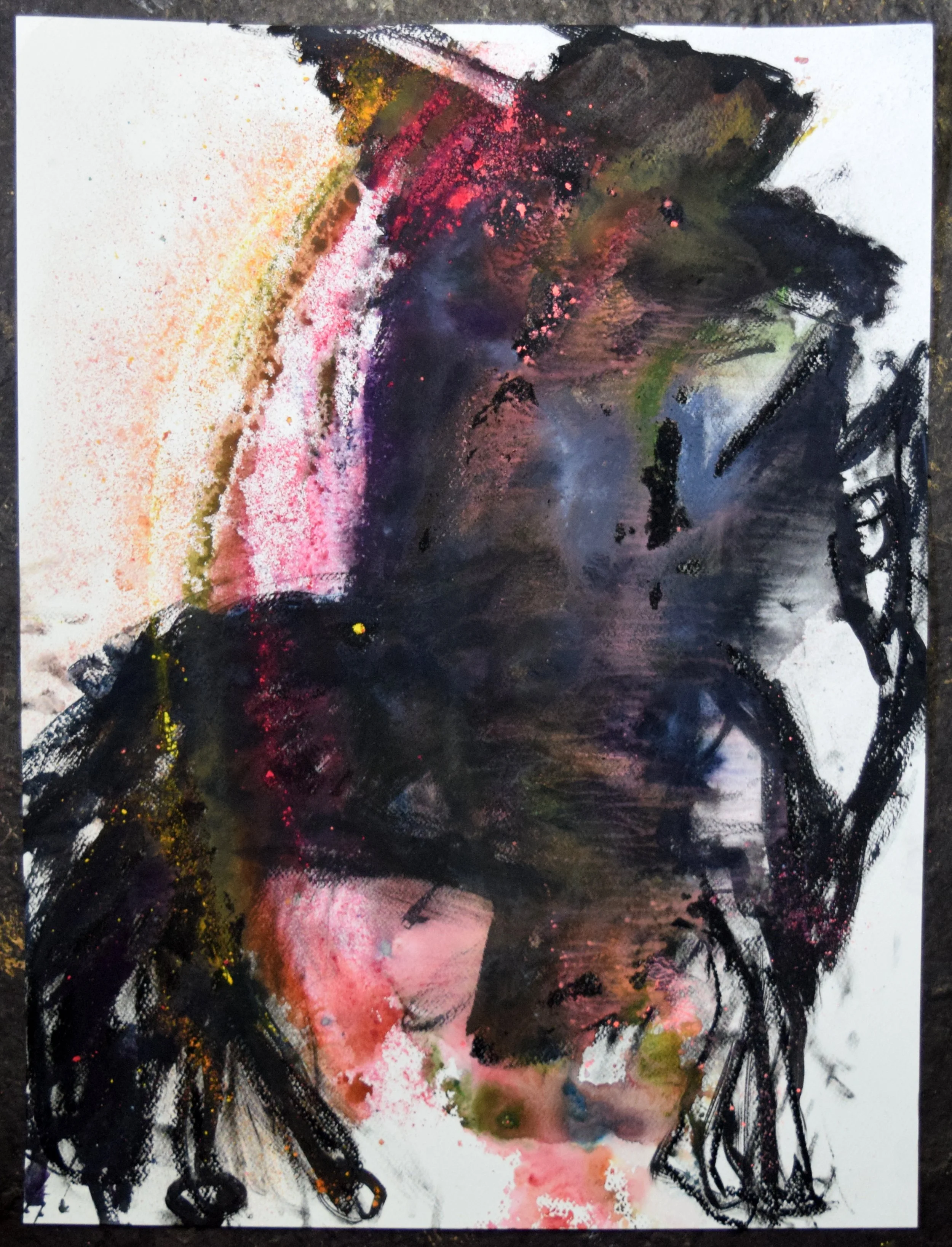 Caballero (Beau) 4, 2026. Watercolor and pastel on paper, 24 X 18 inches