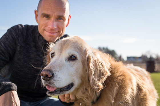 Close up of old golden retriever and person in background outside on a sunny day.