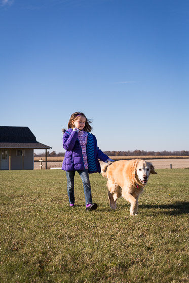  Child in purple coat with dog running in yard on a sunny day. 