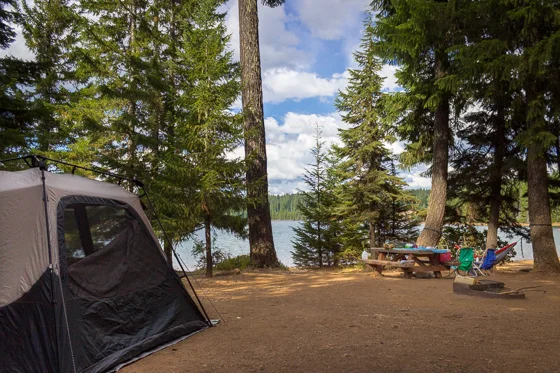 This campsite was so huge, we could have had a party.