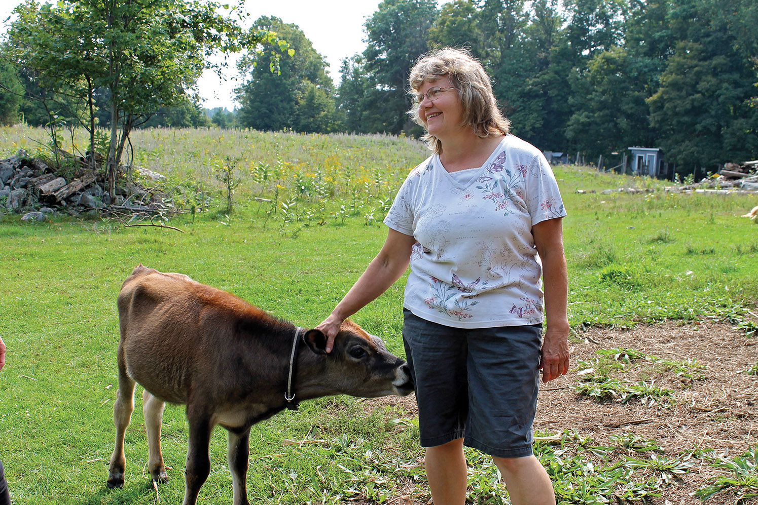 There is a mutual affection between Harvey and her animals. In this case, three-month-old Jersey calf ‘Lucky’ is the recipient of her attention.