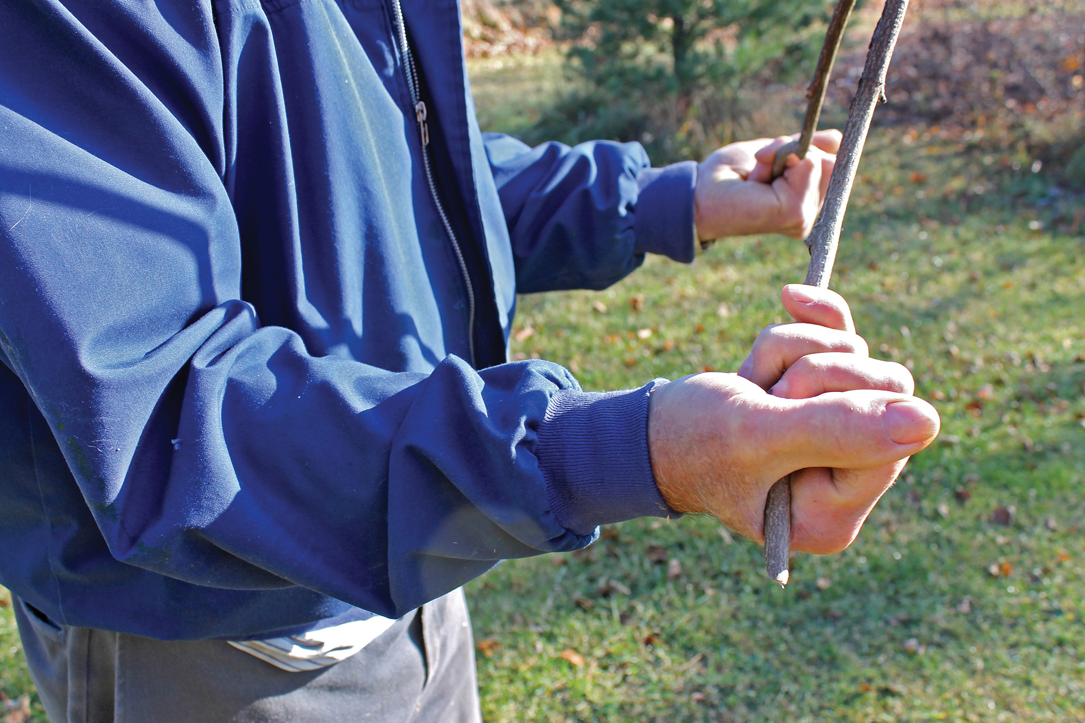 Hand and arm position are key elements to the craft of water witching, as Shatraw demonstrates, with thumbs pointing out, a tight grip on the branch and elbows tucked in.