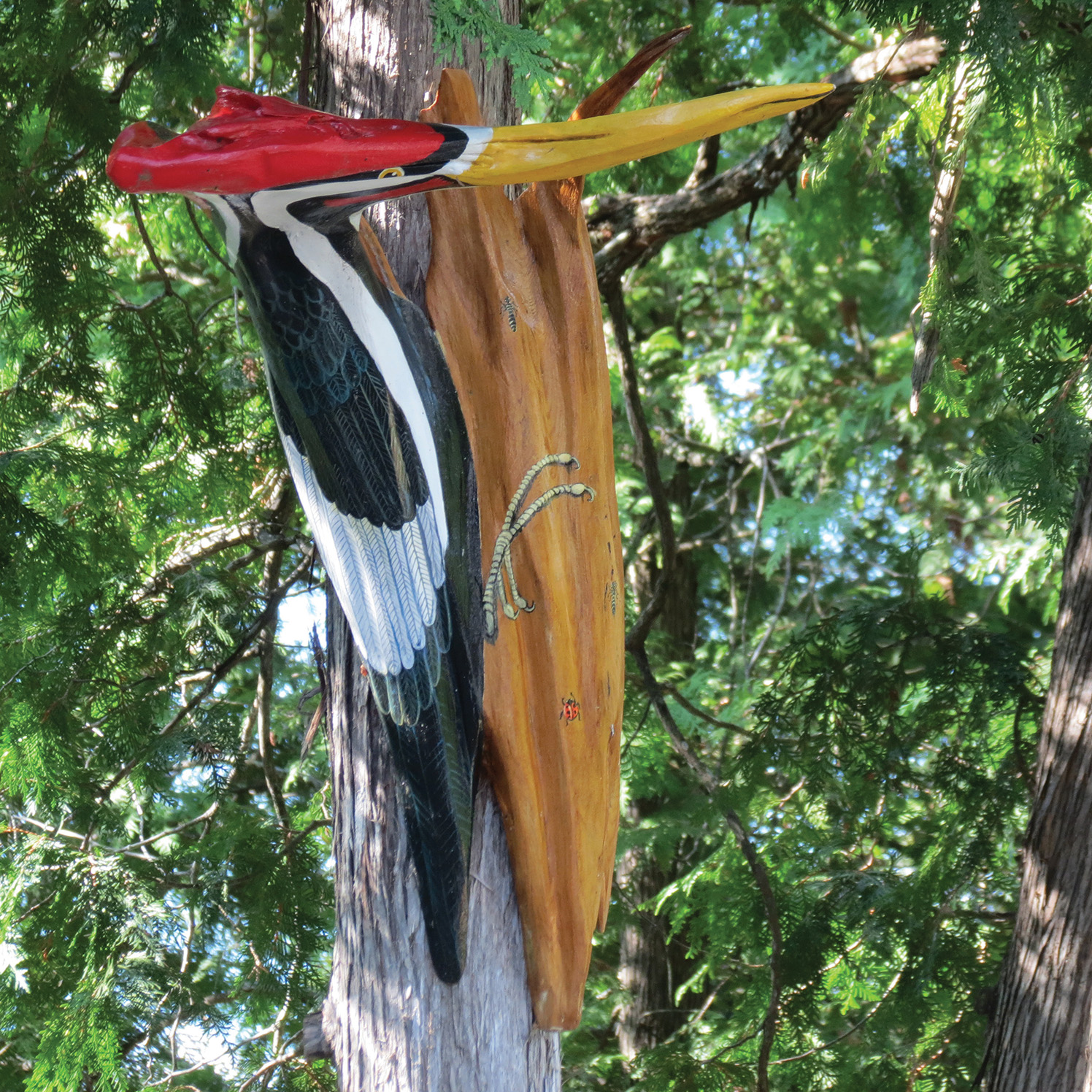 With her driftwood sculptures Ingrid Monteith has taken what many people see as debris and turned it into an art form. 