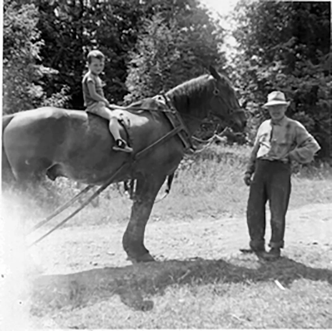 Willie Mulrooney’s workhorse Nellie features in many memories of visitors to his cottages on Stoco Lake, and Mulrooney himself is remembered as a popular figure. Photo courtesy Judi Libman / The Tweed News