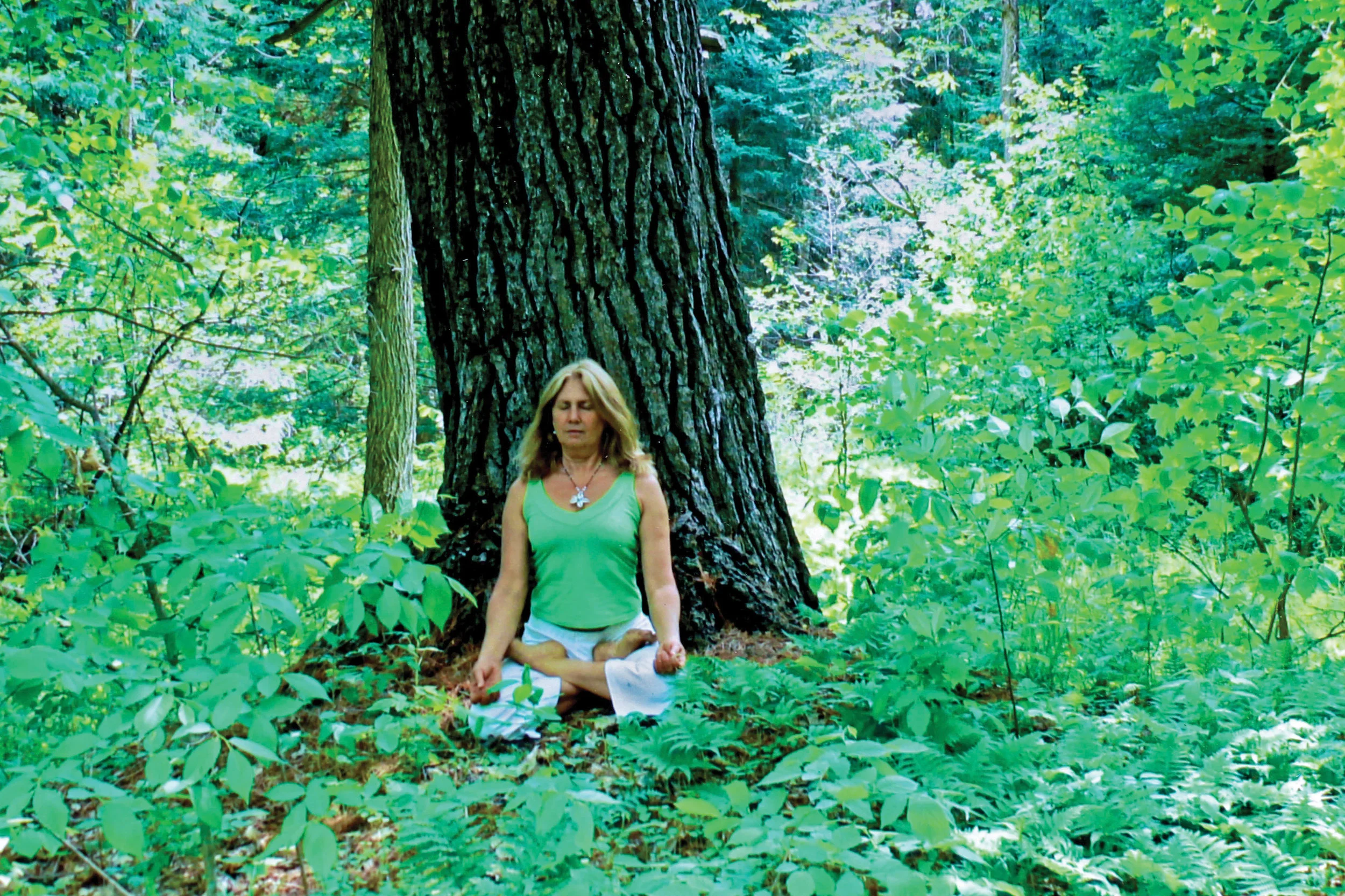 As a child Springer enjoyed retreating into the forest for hours alone at a time and taking in its sounds and vibrations. Photo courtesy of Troy Springer