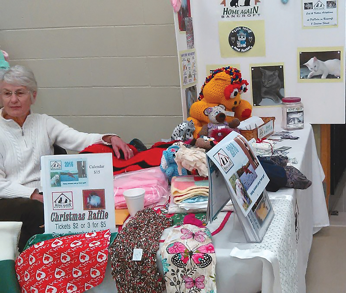 Volunteer organizations like HART, Home Again and Newf Friends cover costs of food and veterinary bills while dogs are being fostered, hence the need for fundraising events and displays such as this one in Maynooth, with Rosemarie Dixon on duty.Photo courtesy Home Again
